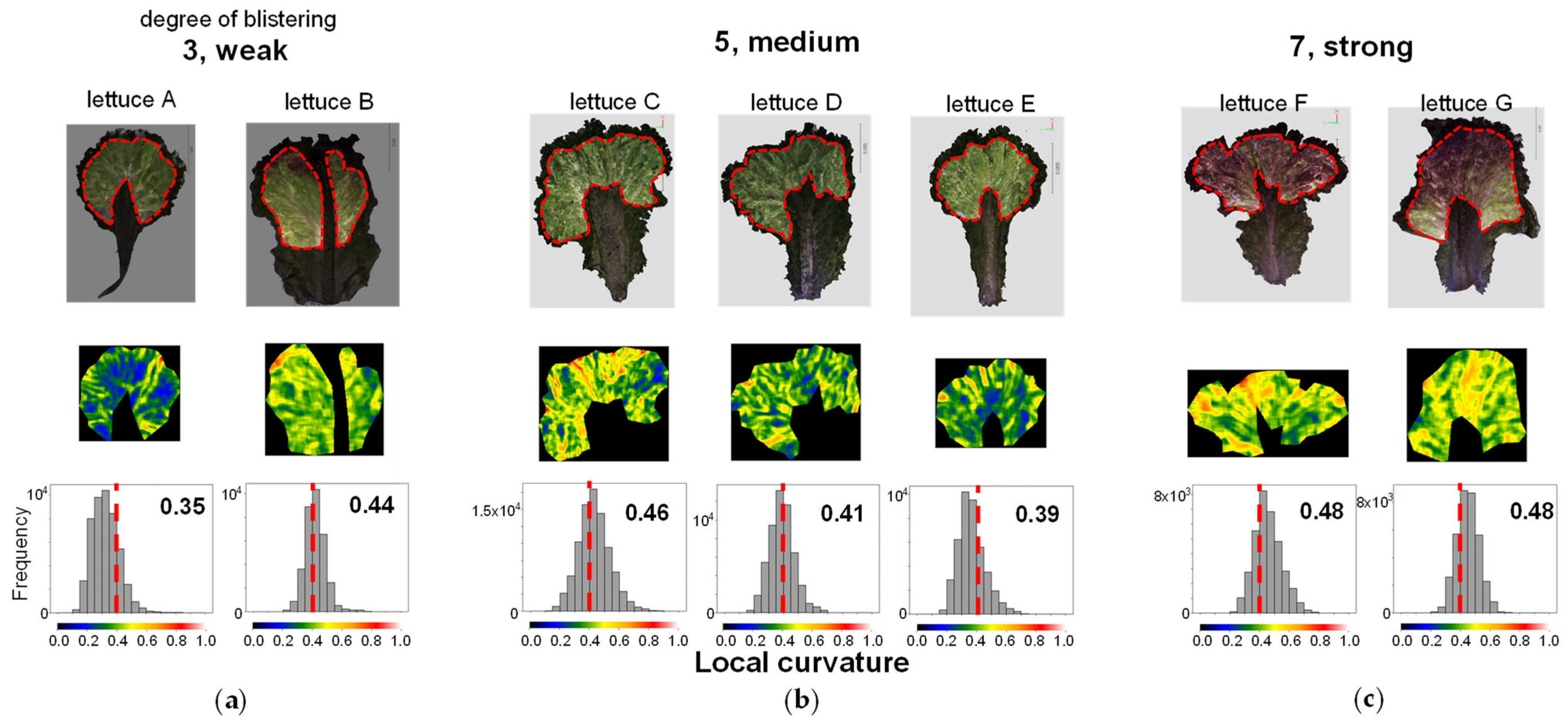 Sensors 23 06825 g014 Sensors 23 06825 g014