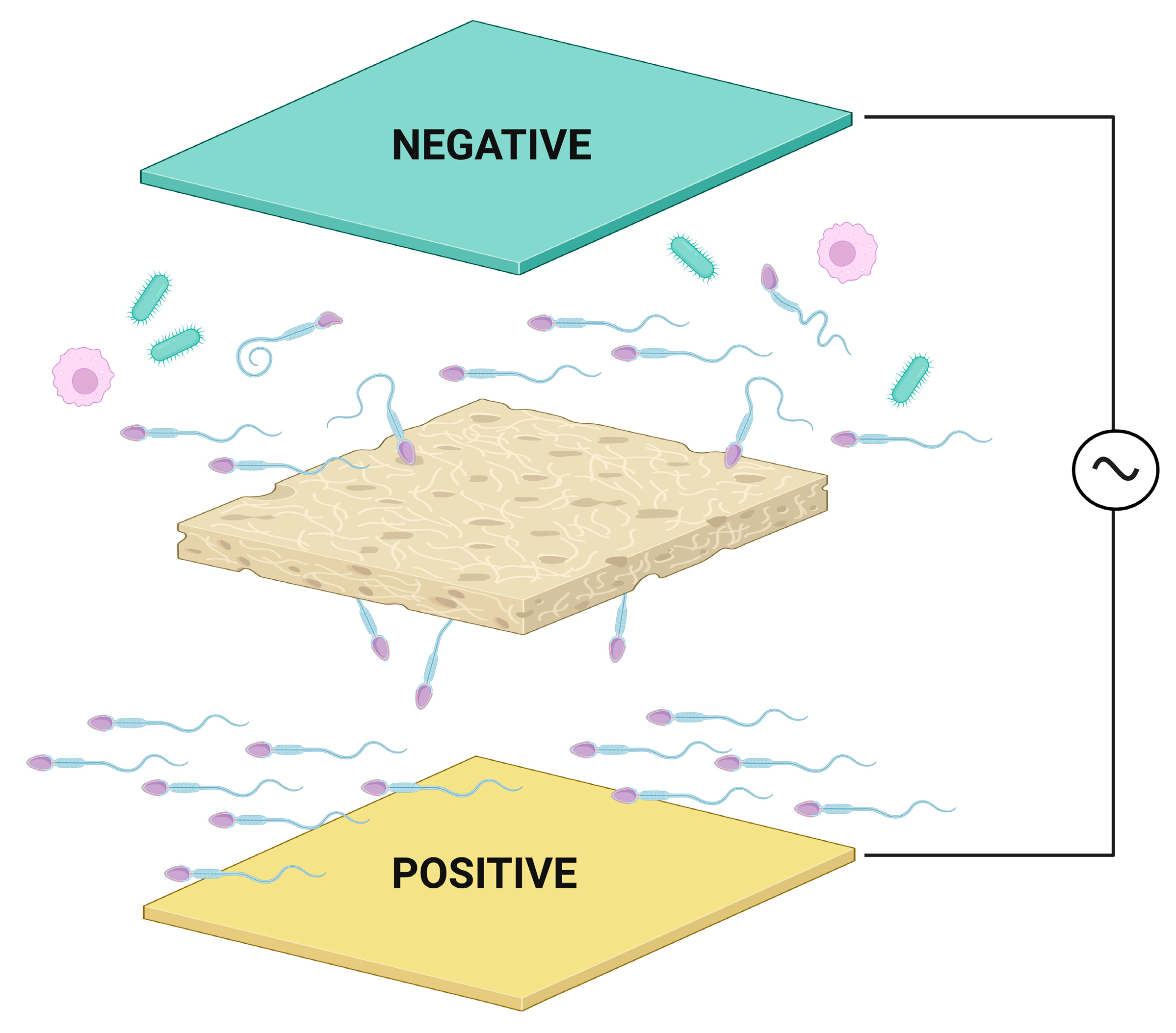 Sensors 23 06978 g003 Sensors 23 06978 g003