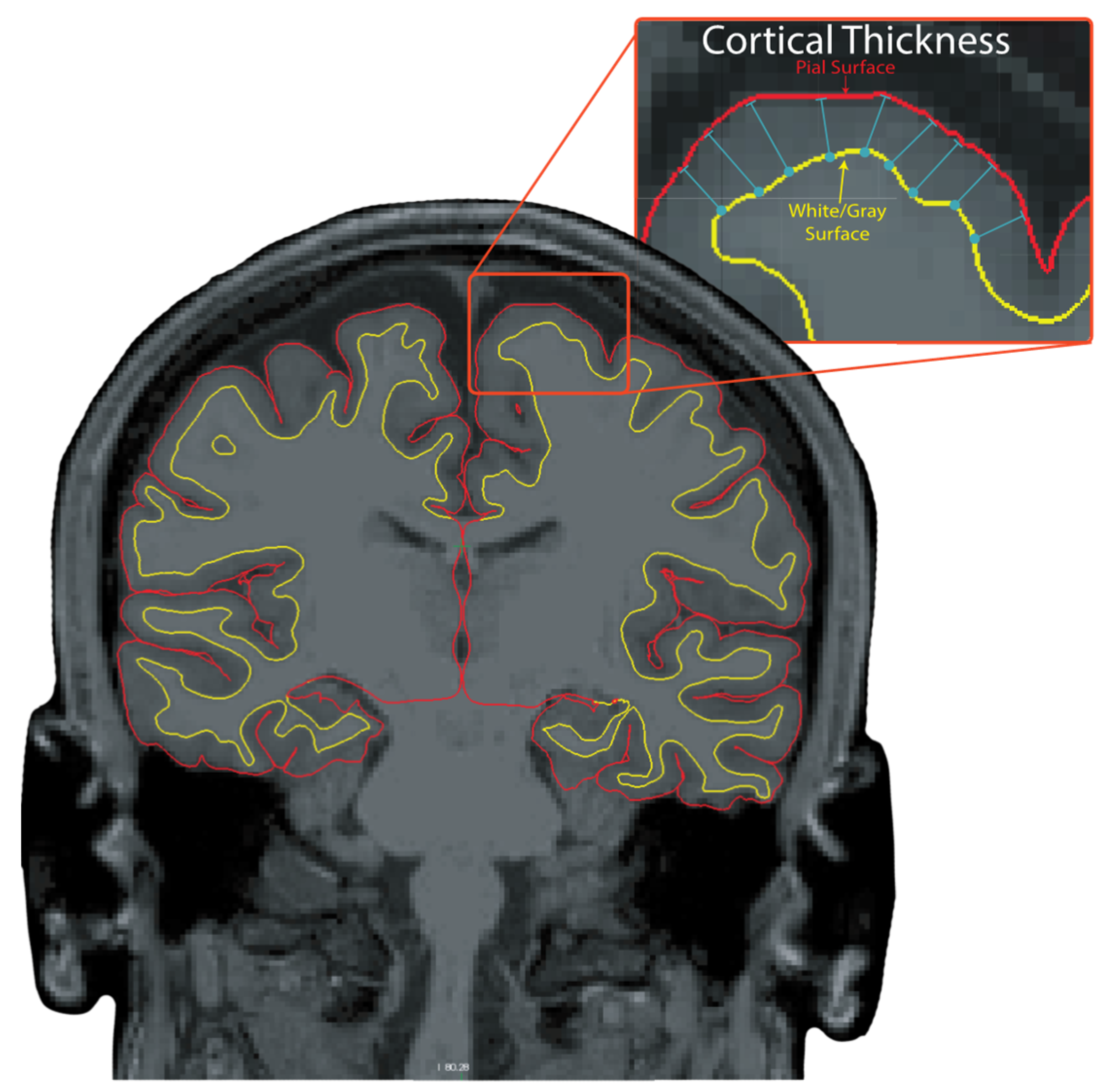 Sensors 23 07629 g002