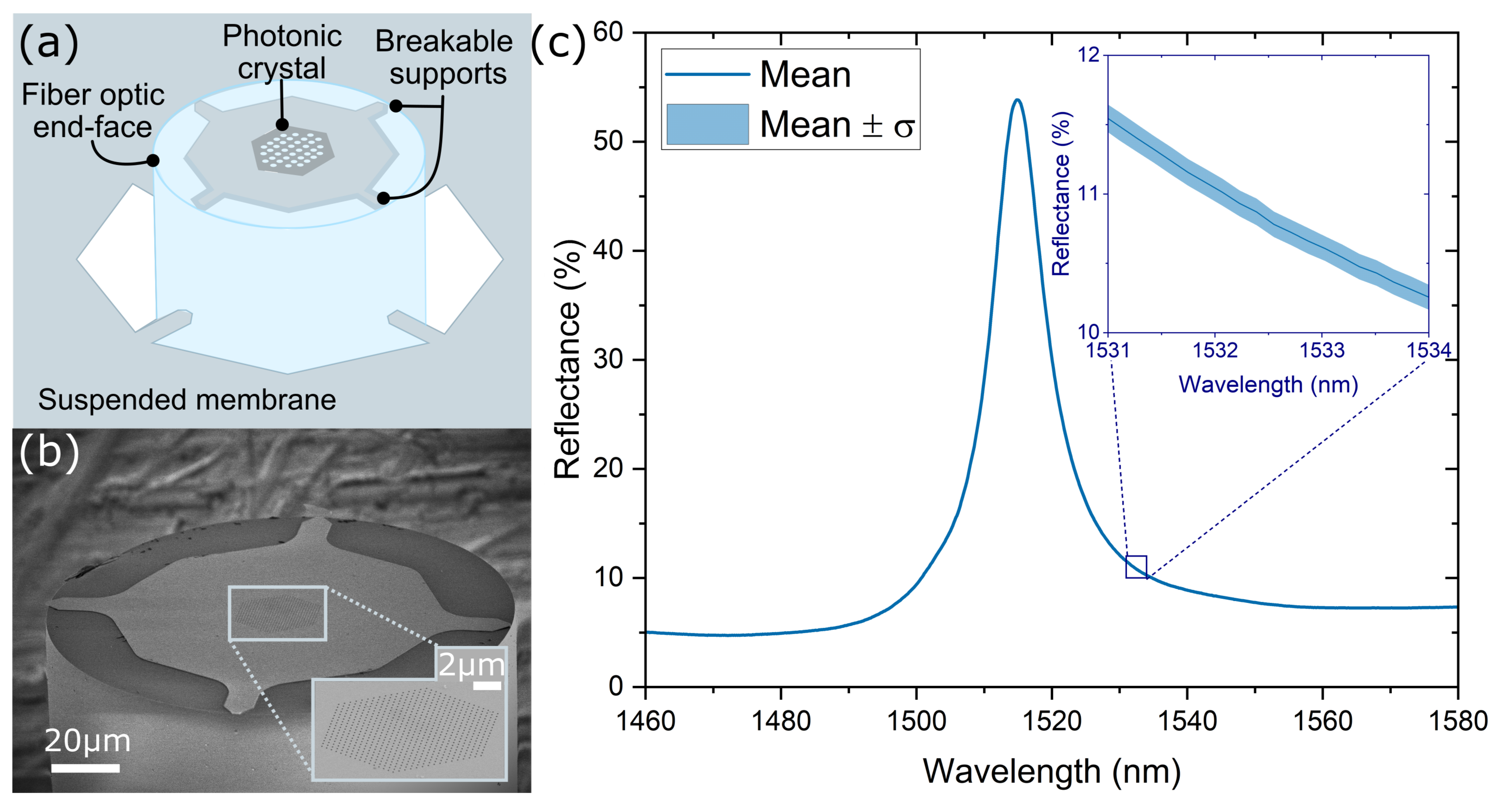 Sensors 23 07703 g001