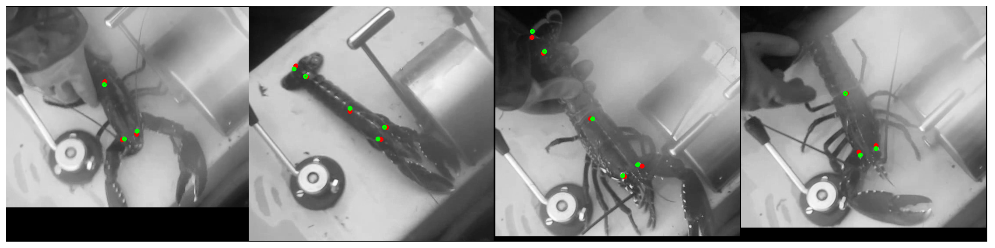 Sensors 23 07897 g013