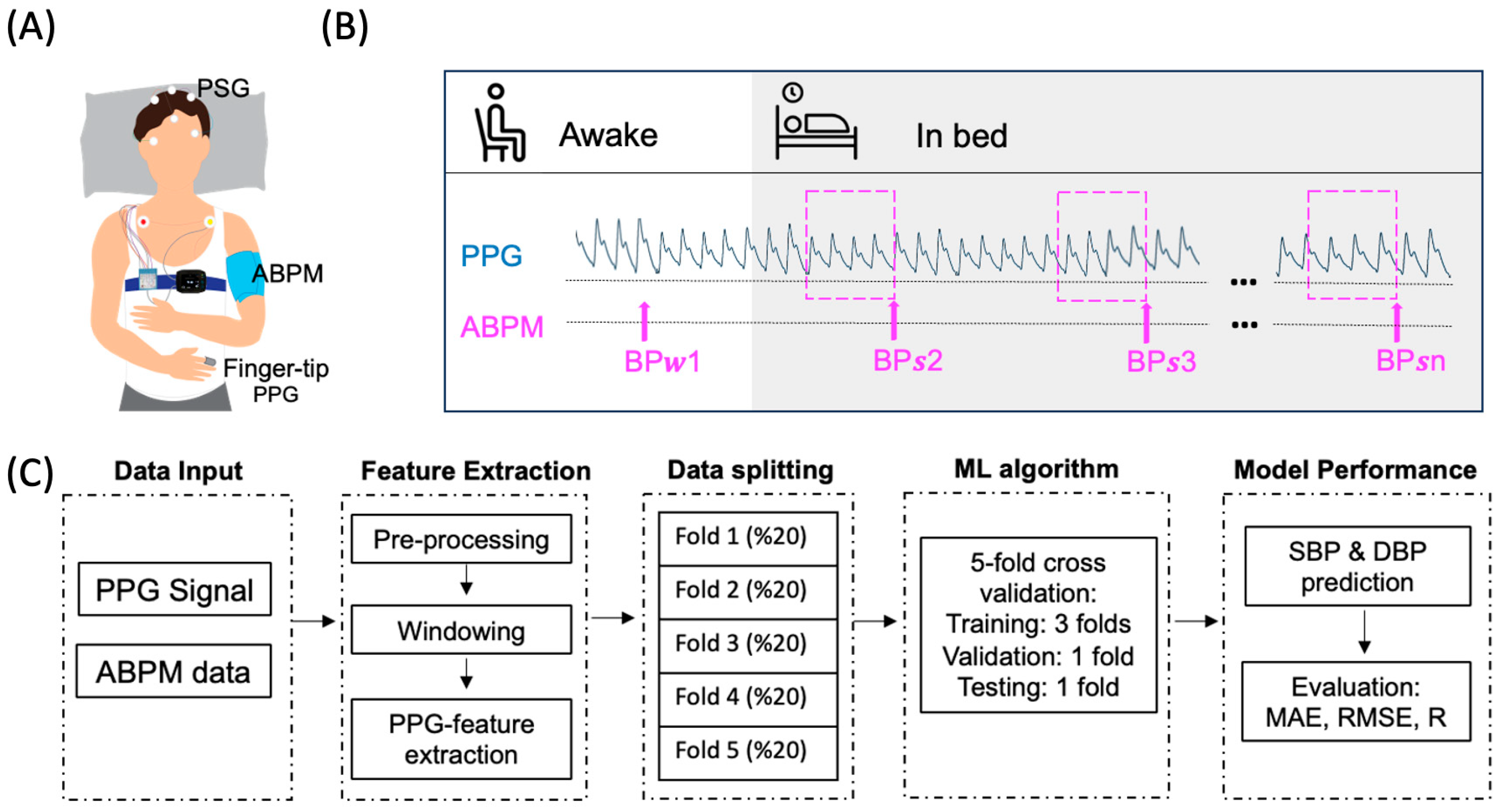 Wearable blood pressure sensor offers 24/7 continuous monitoring, MIT News