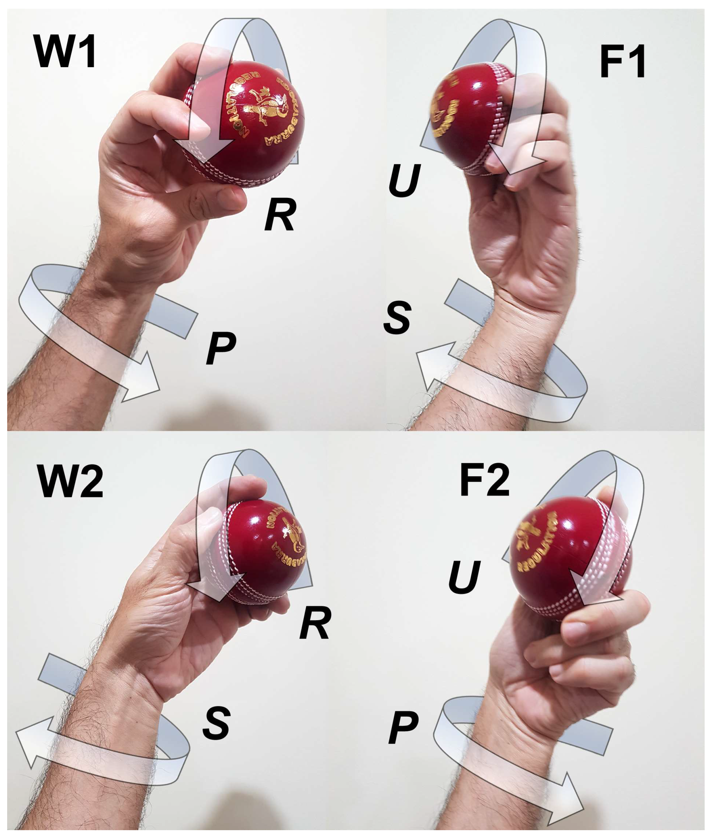 Sensors | Free Full-Text | Identification, Taxonomy and Performance  Assessment of Type 1 and Type 2 Spin Bowling Deliveries with a Smart  Cricket Ball