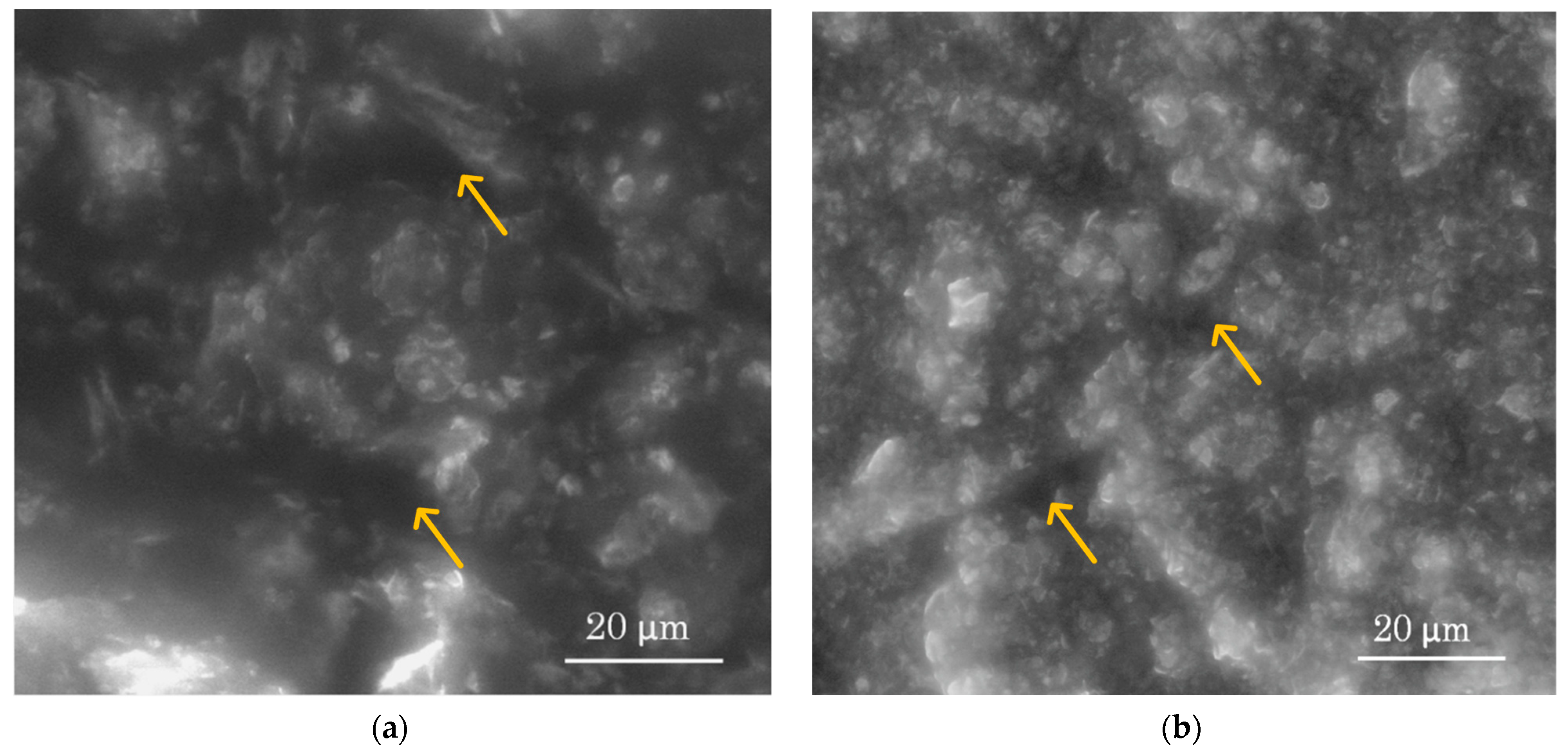Sensors 23 08046 g003