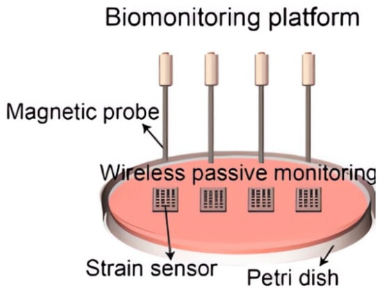 Contact-Free, Passive, Electromagnetic Resonant Sensors for Enclosed  Biomedical Applications: A Perspective on Opportunities and Challenges