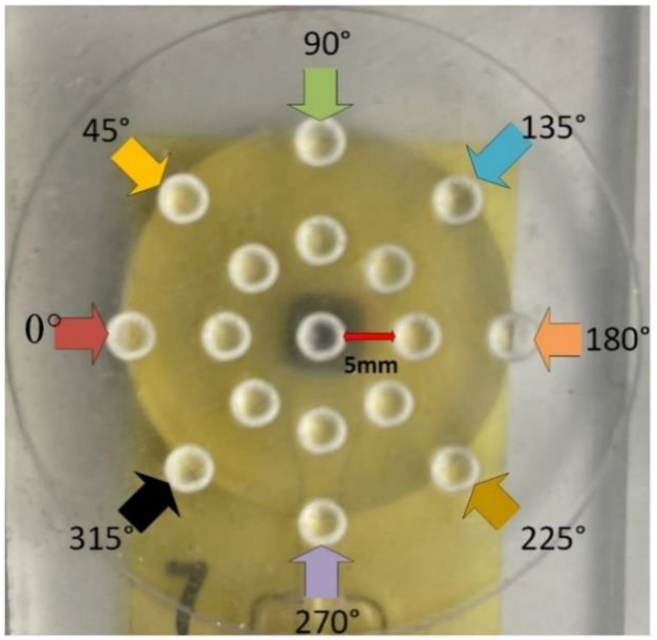 Sensors 23 08280 g007
