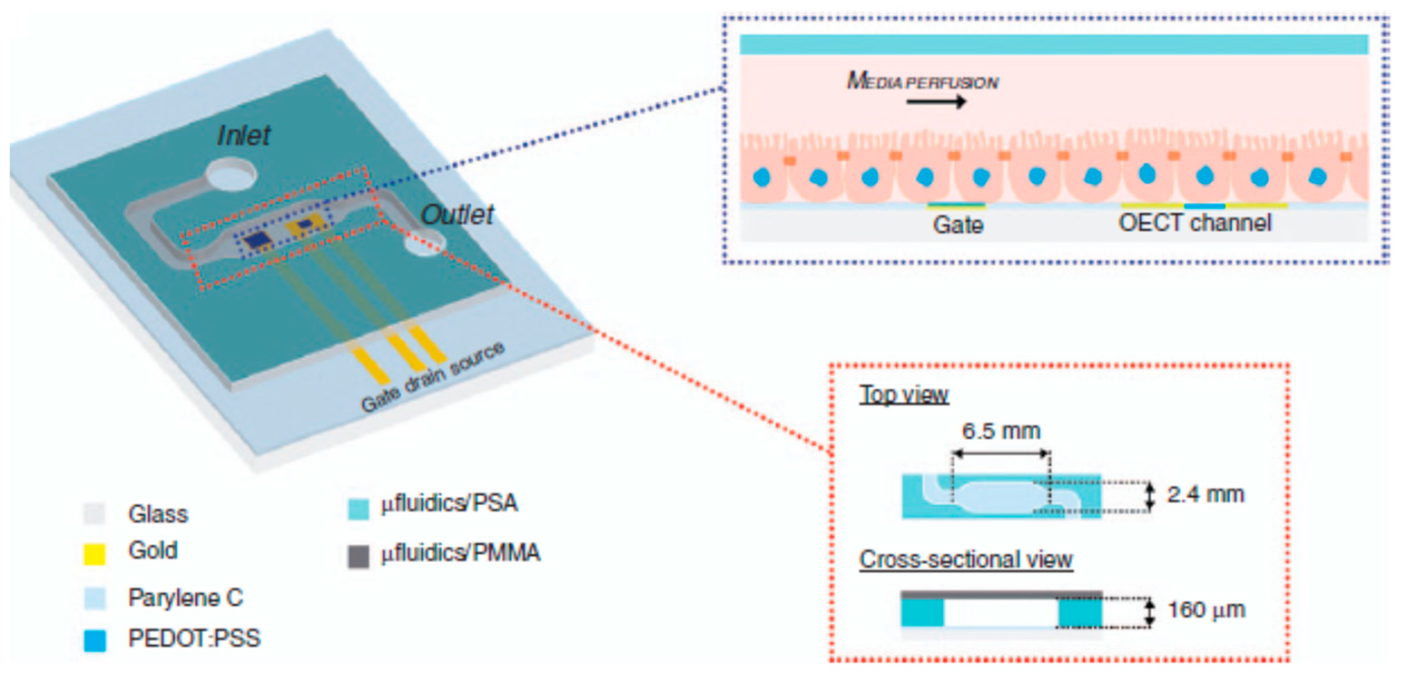 Sensors 23 08488 g019