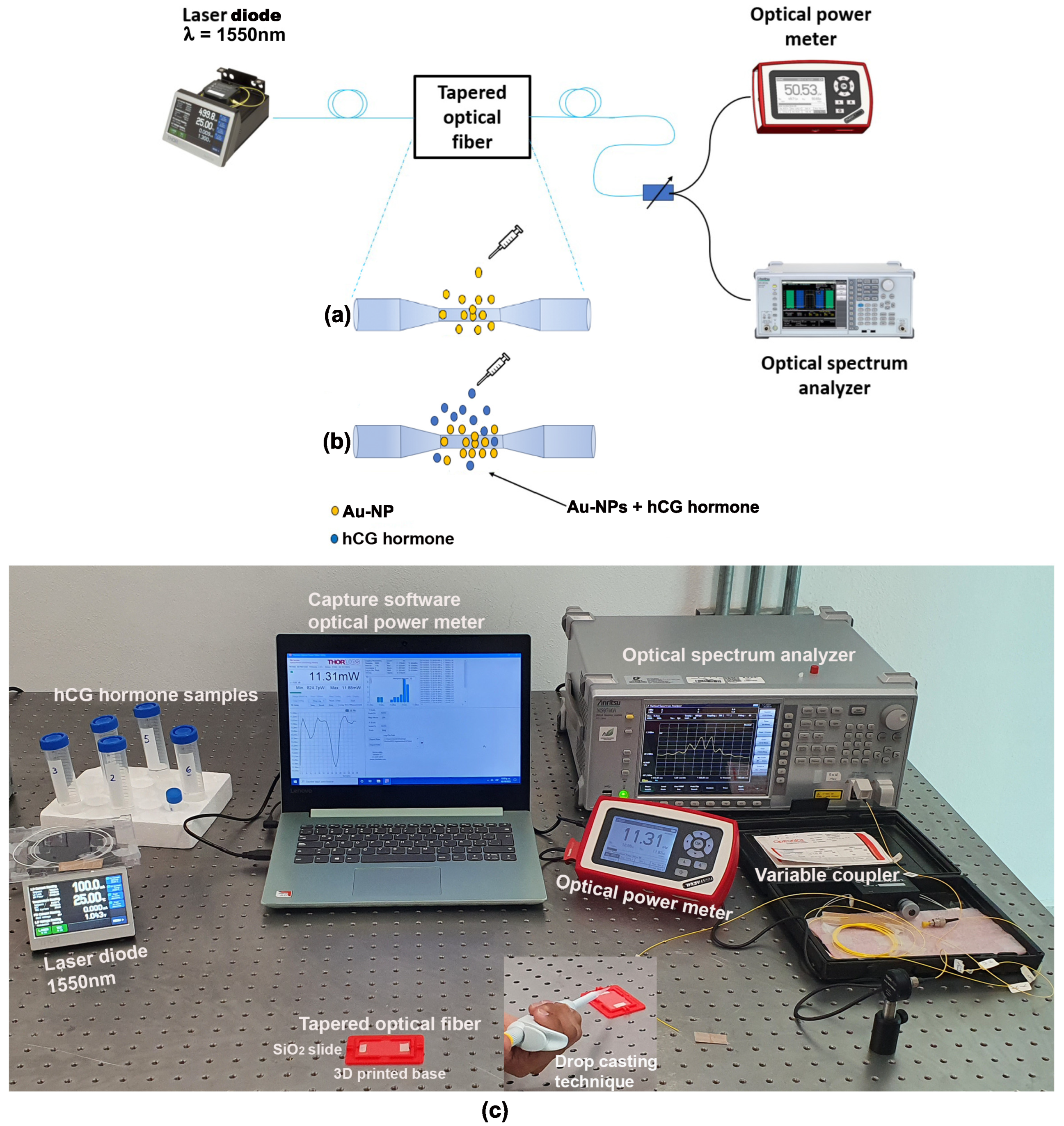 Sensors 23 08538 g002