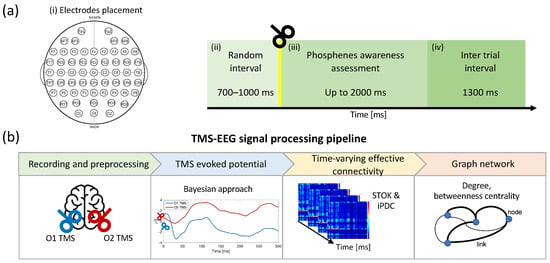 Sensors | Free Full-Text | Graph Analysis of TMS–EEG