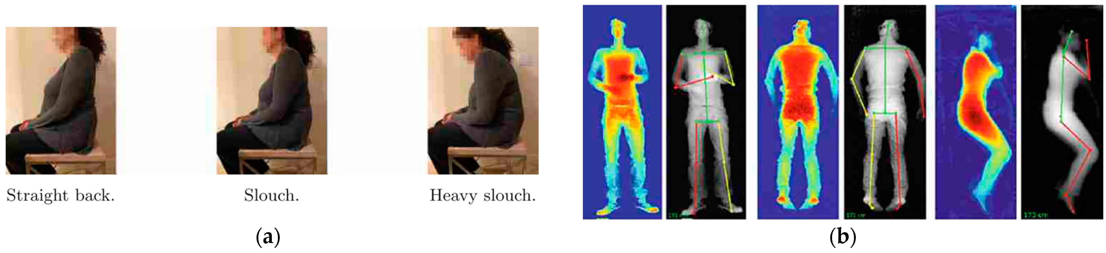 Comparison results of human motion posture contour detection. (a) Human