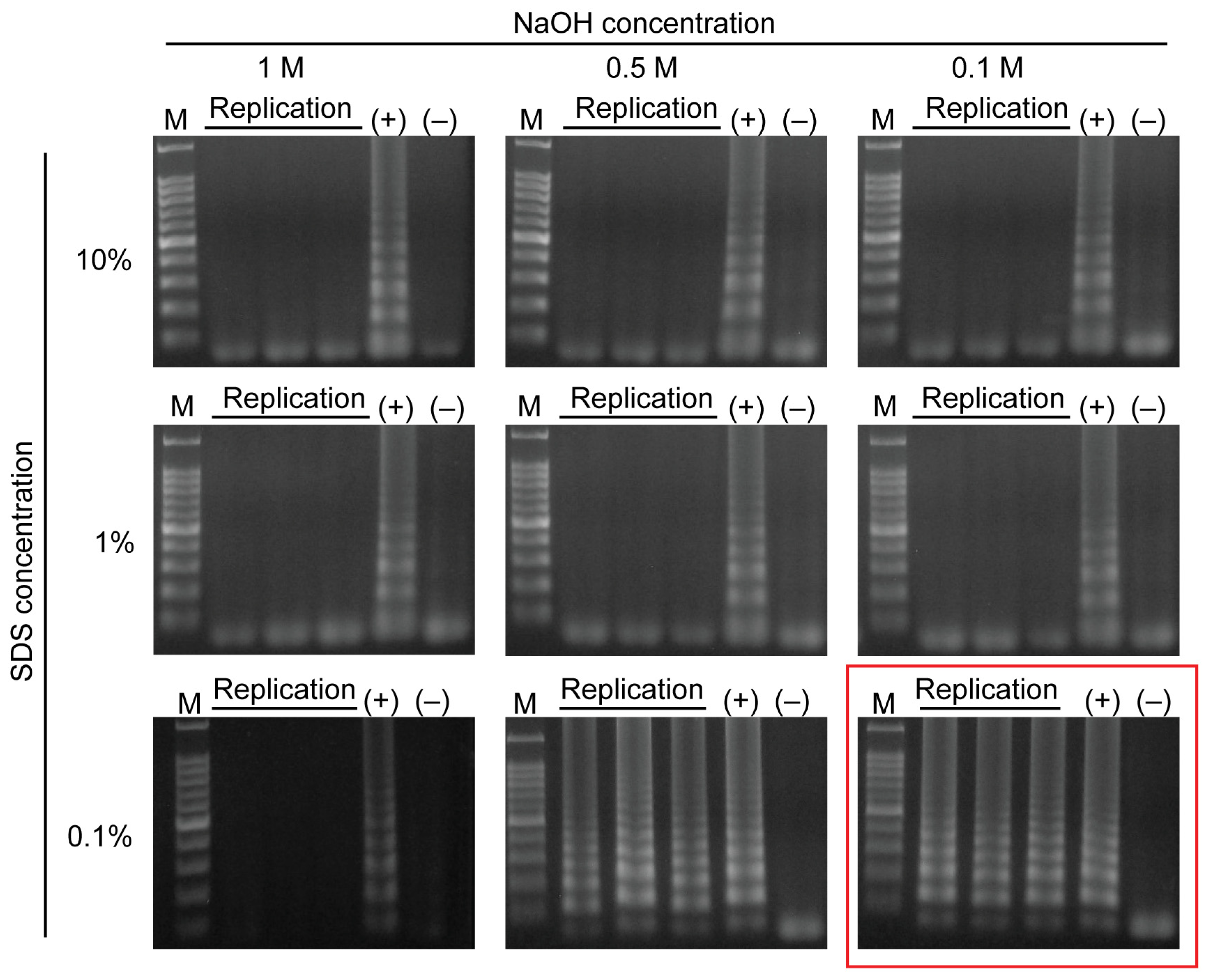 Scienza e biologia molecolare sfondo, immagine panoramica. Provette in  plastica per analisi pcr di dna e rna, pipette automatiche e provette con  reagenti Foto stock - Alamy