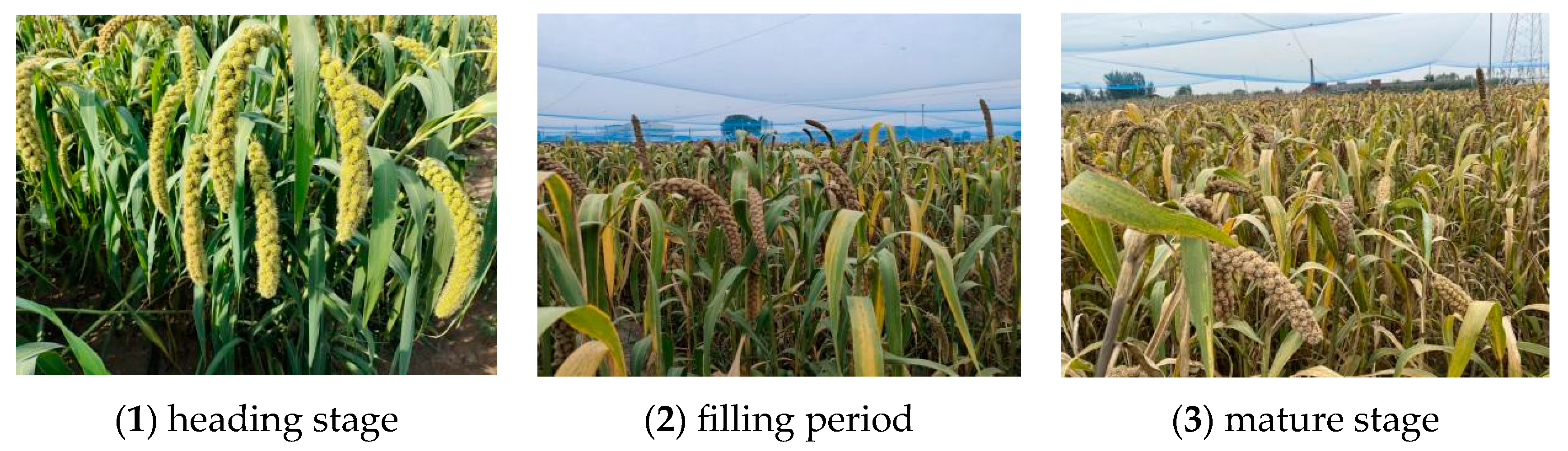 Sensors 23 09189 g001