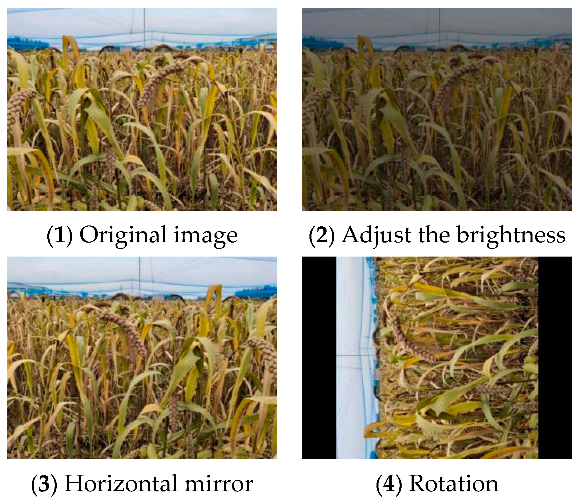 Sensors 23 09189 g003