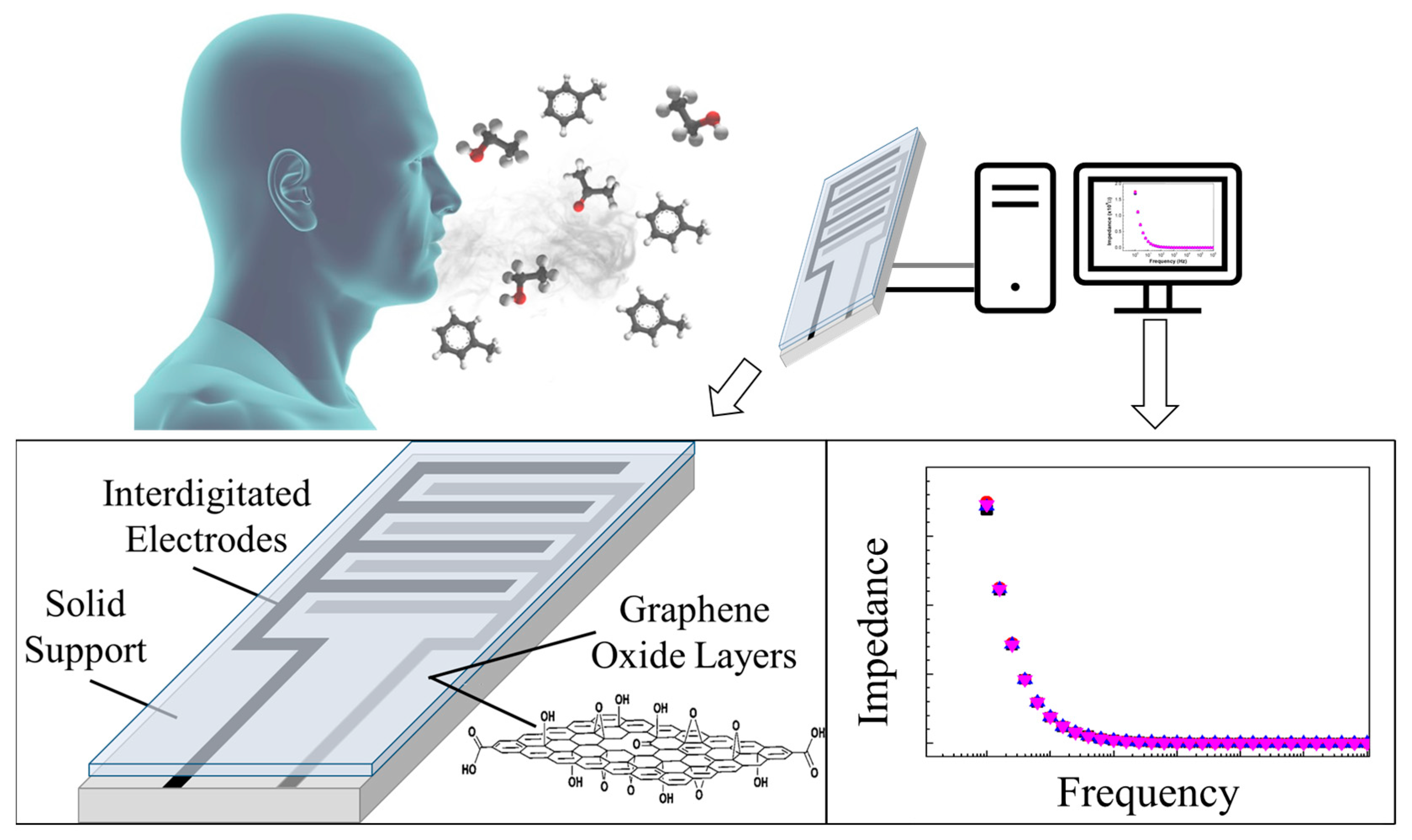 Sensors | Free Full-Text | The State of the Art on Graphene-Based