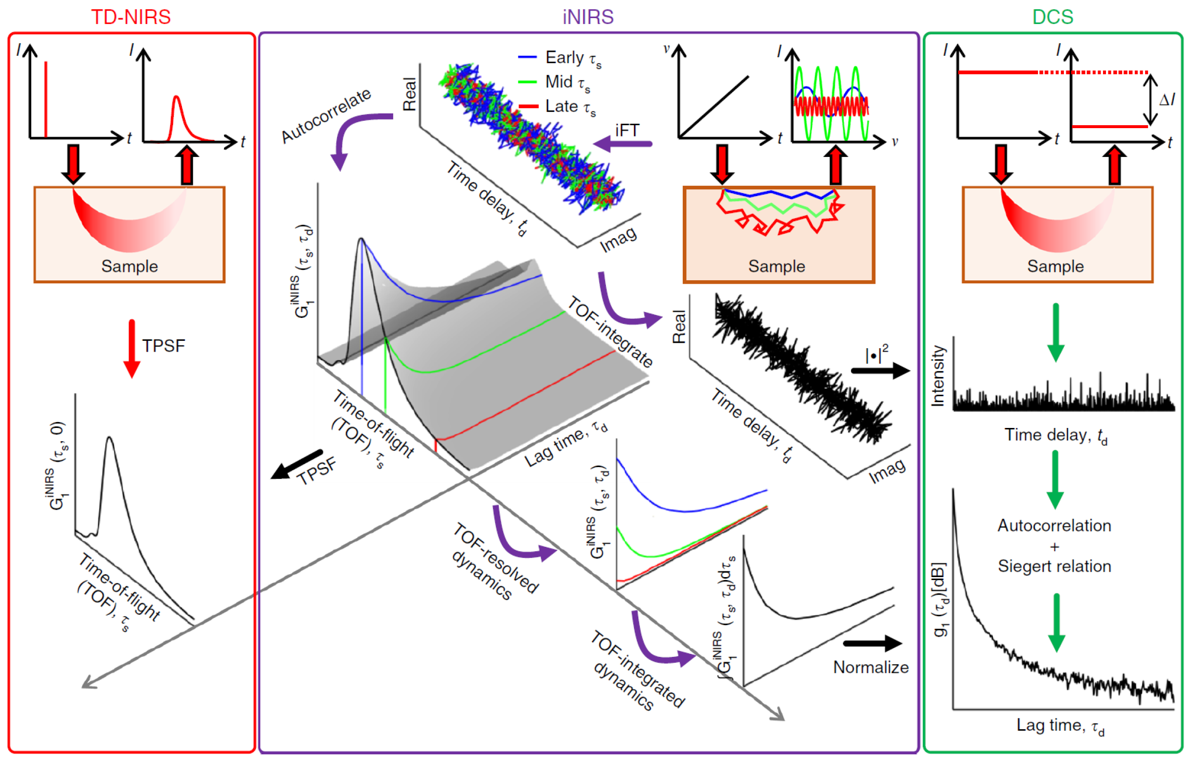 Sensors Free Full Text Diffuse Correlation Spectroscopy A Review Of Recent Advances In 7296