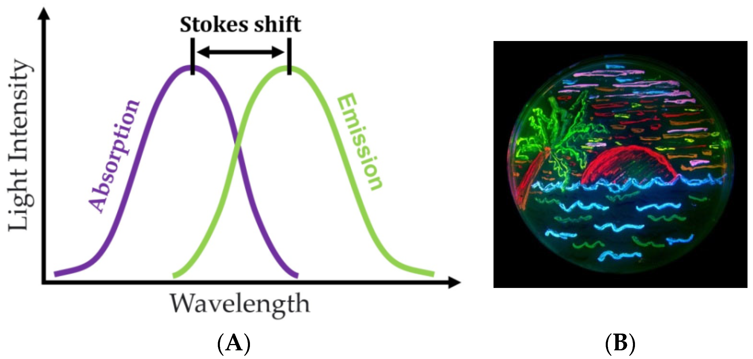 Sensors 23 09391 g004