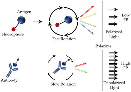 Rotational diffusion - Wikipedia