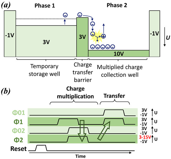 Sensors | Free Full-Text | Development of a Charge-Multiplication 