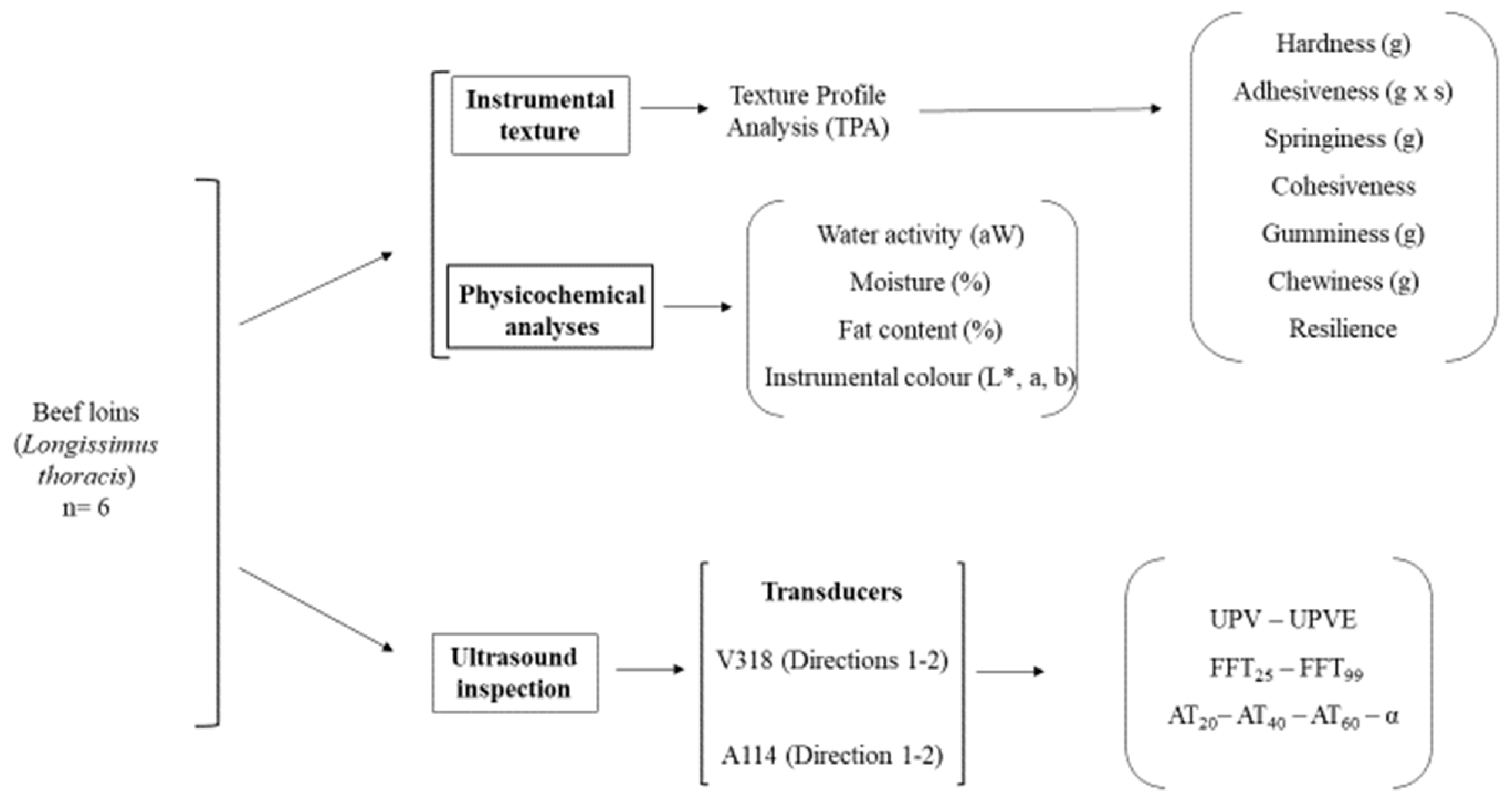 Sensors 23 09564 g001