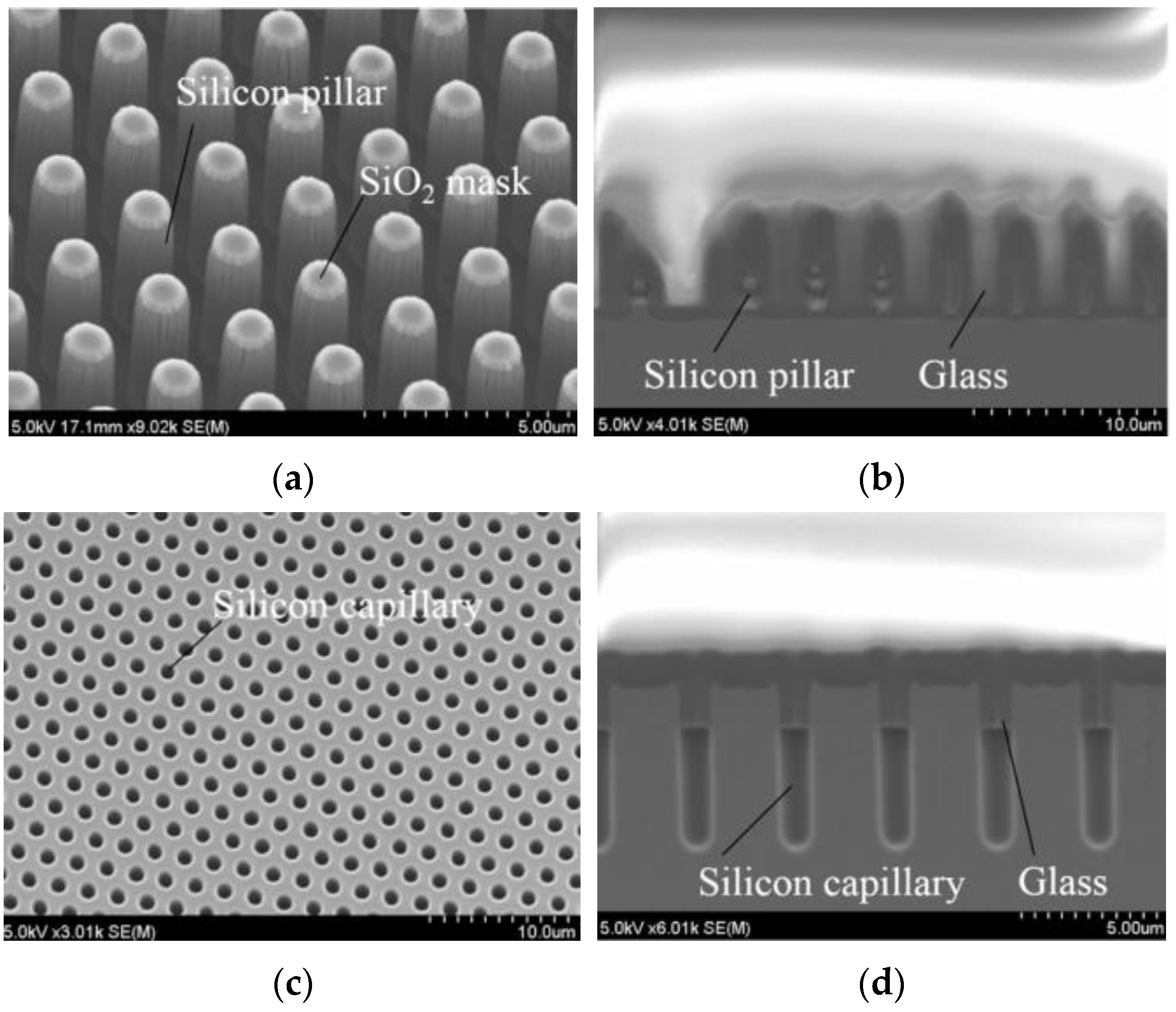 Mold V24 3.3 inch / 83 mm