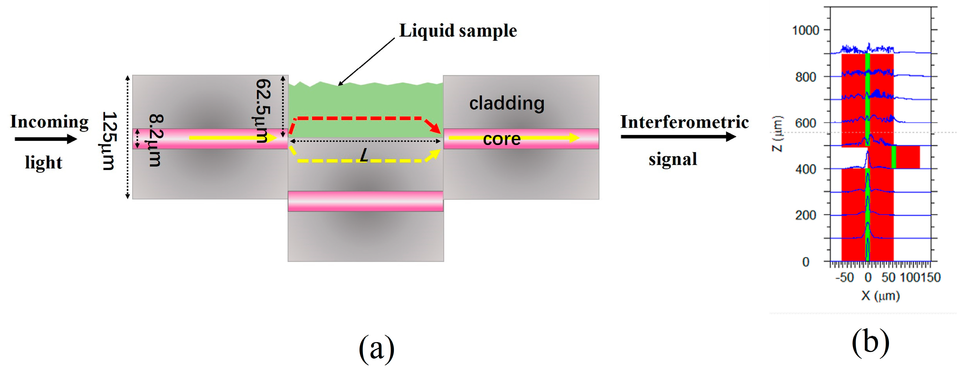 Sensors 24 00278 g001