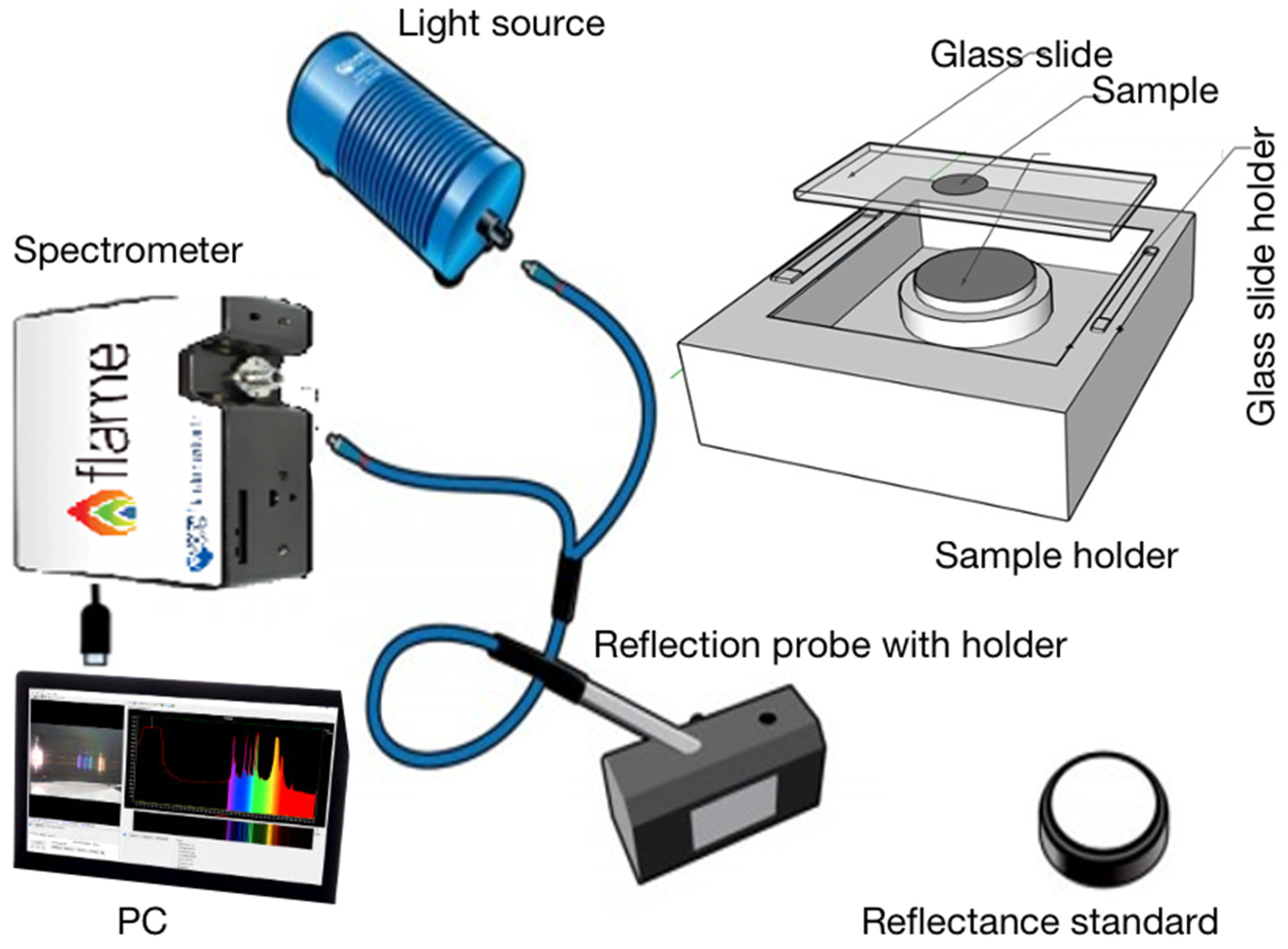 https://www.mdpi.com/sensors/sensors-24-00308/article_deploy/html/images/sensors-24-00308-g001.png