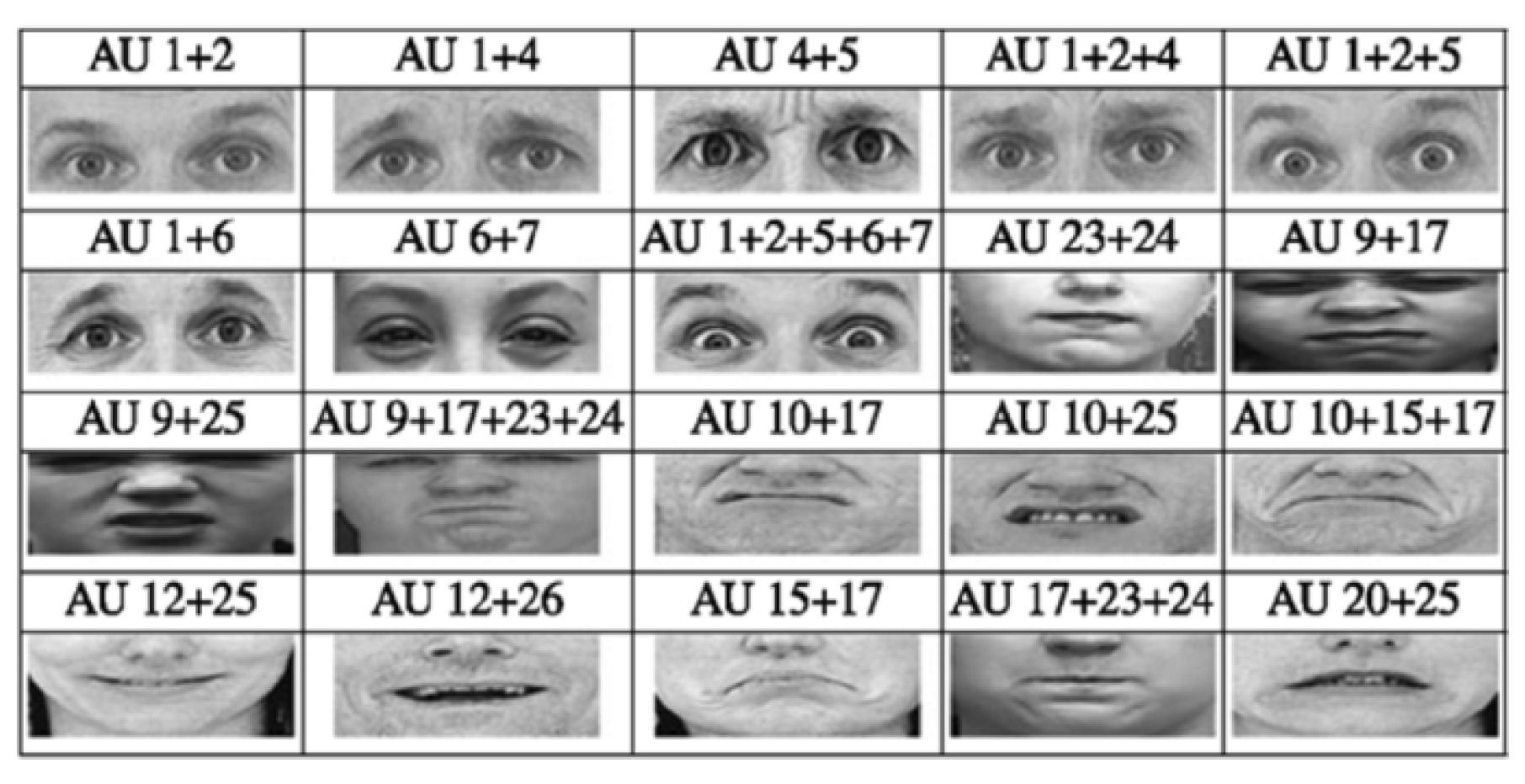Sensors 24 00348 g004