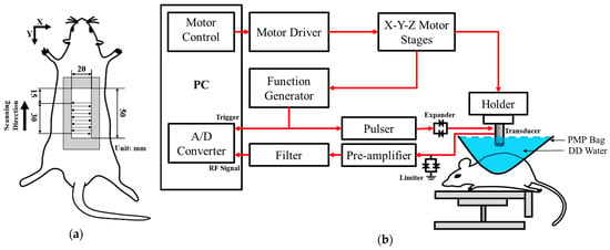 Quantitative ultrasound imaging of soft biological tissues: a