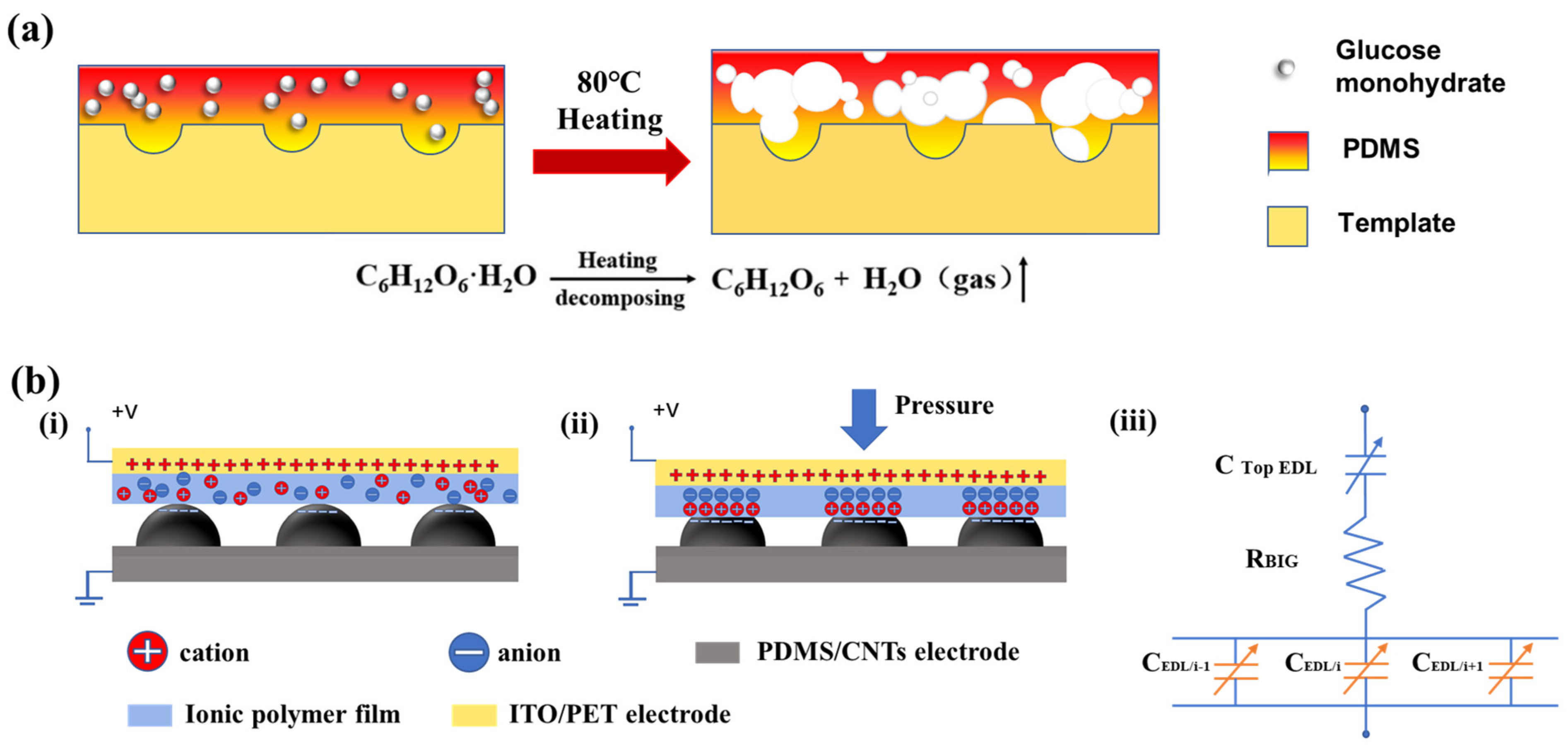 Sensors 24 00366 g002