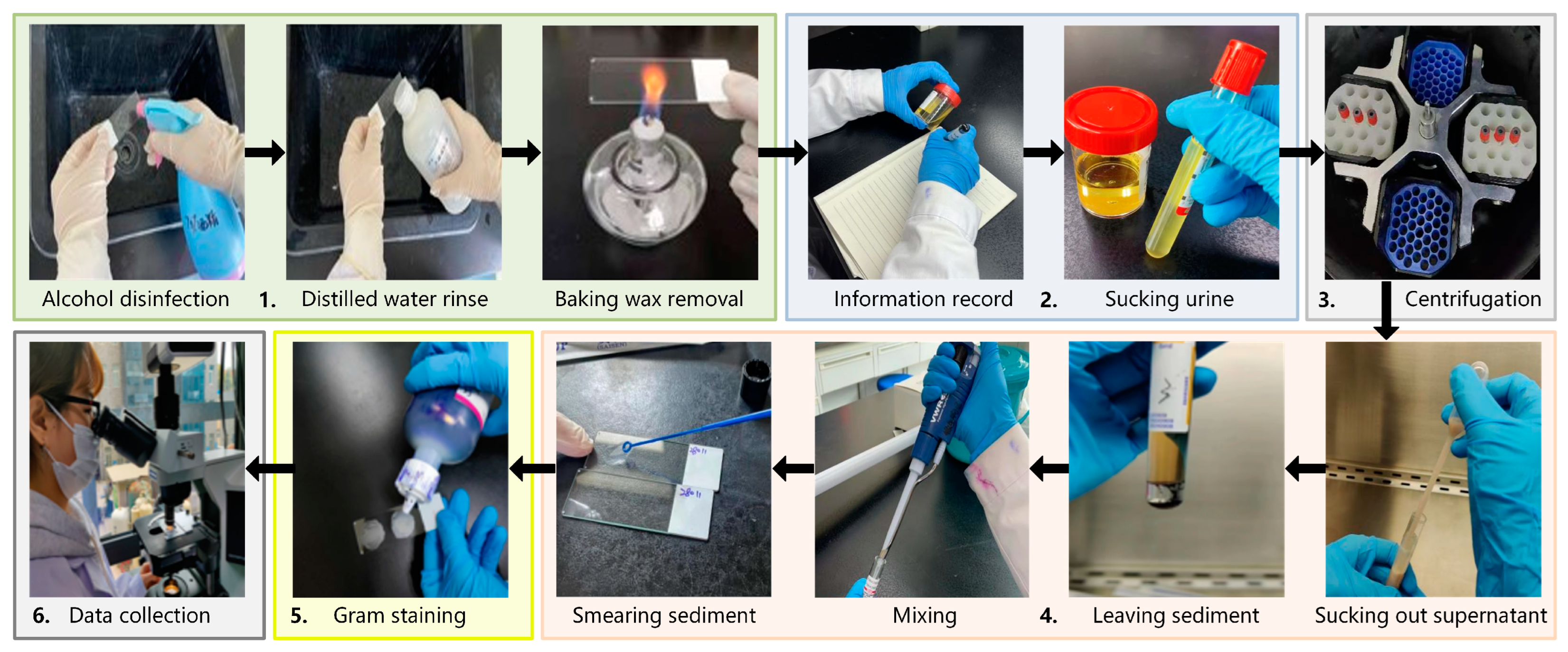 Sensors 24 00507 g002