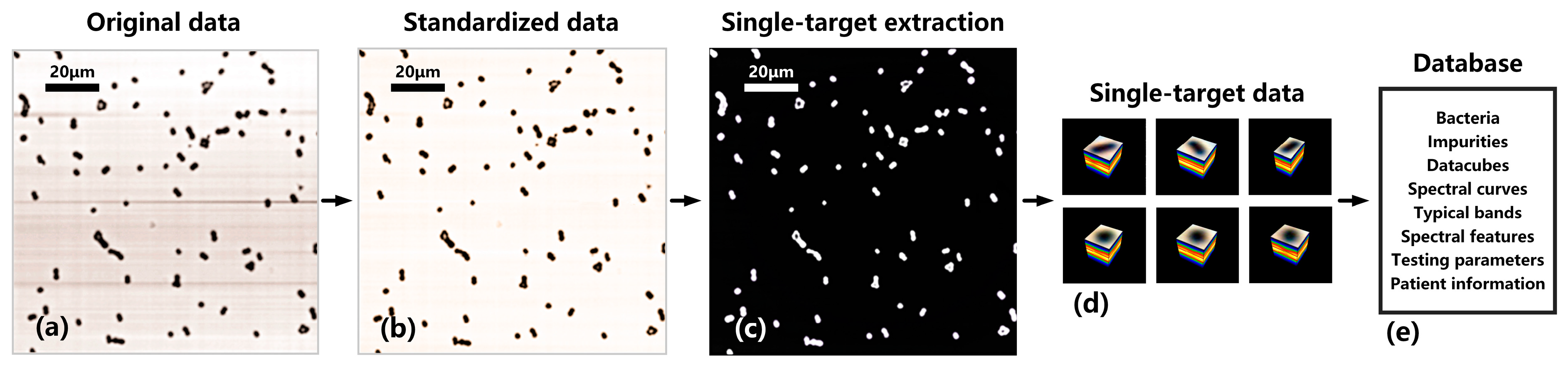 Sensors 24 00507 g006