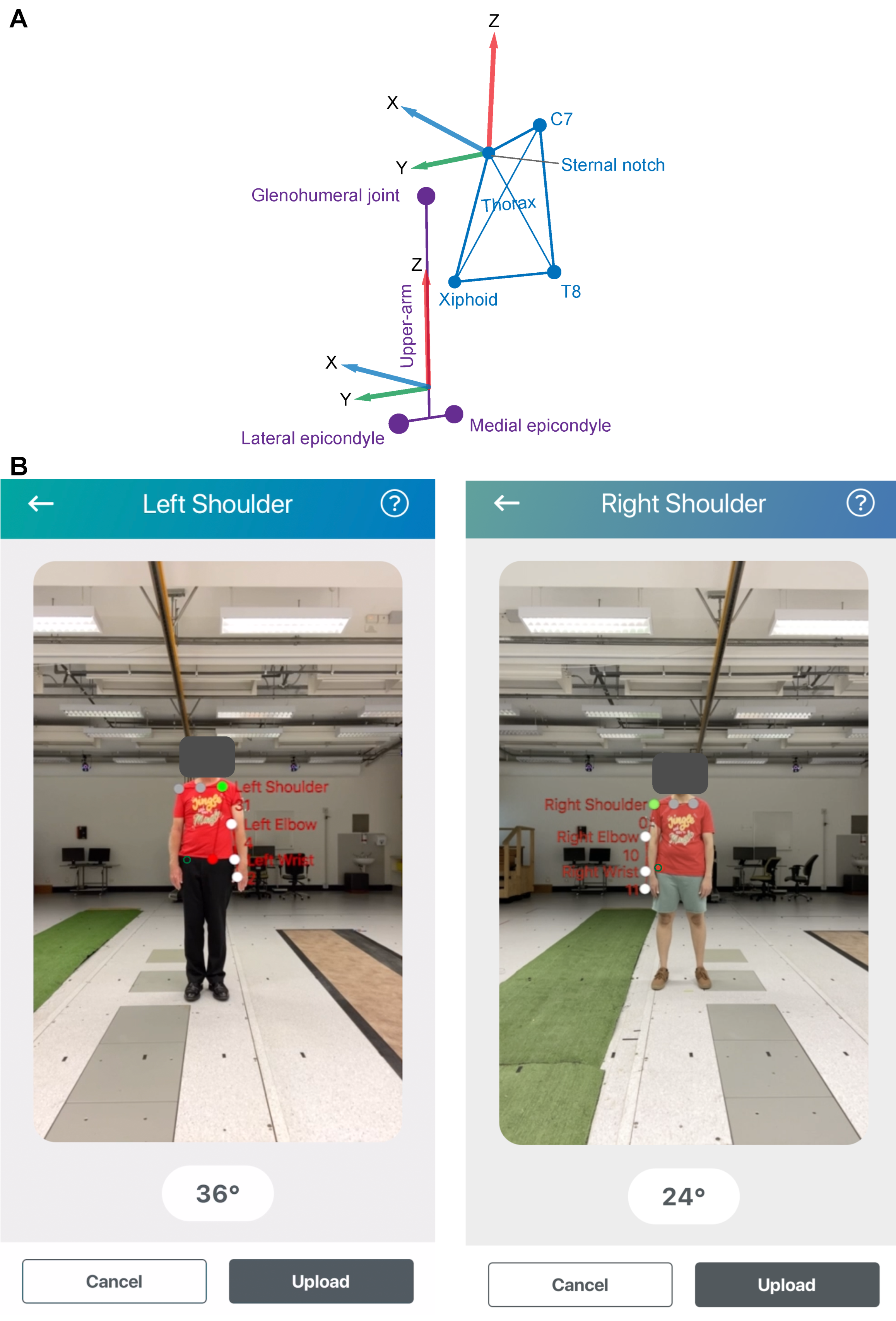 Sensors 24 00534 g002