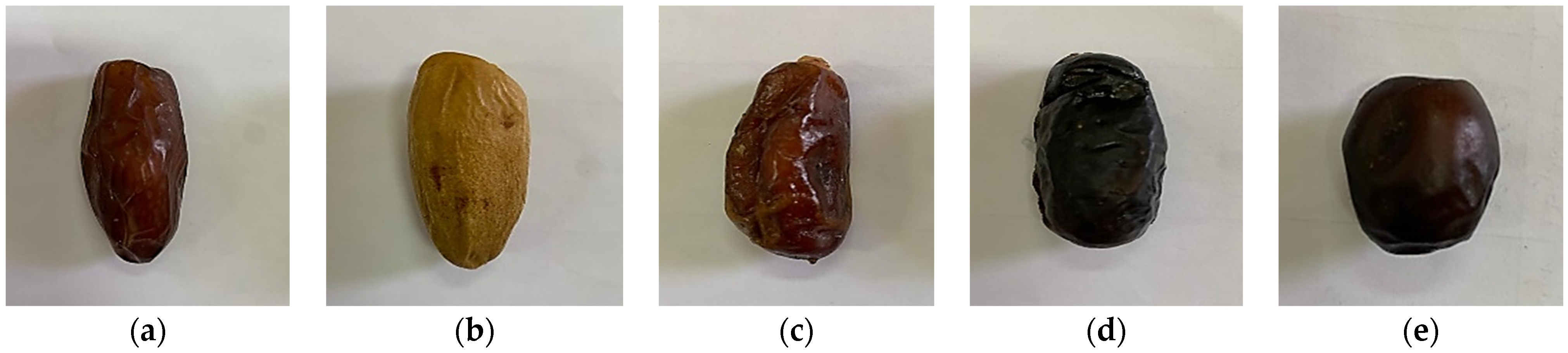 Sensors 24 00558 g001