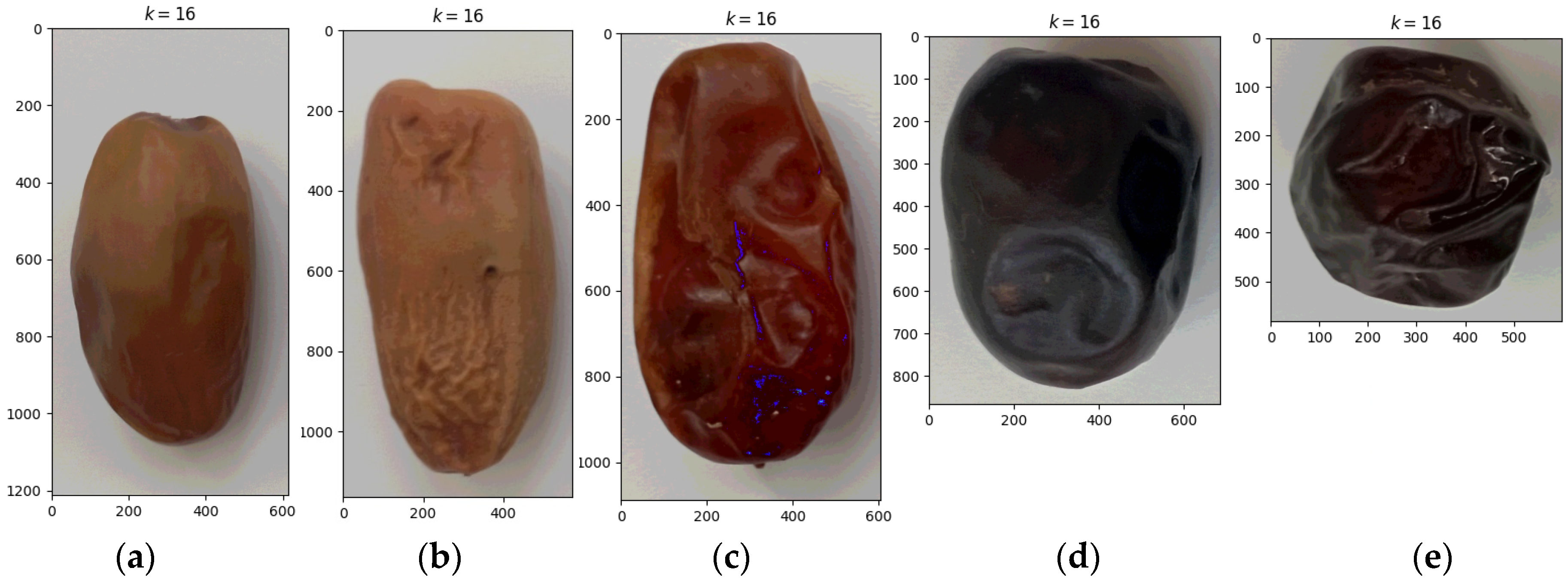 Sensors 24 00558 g004