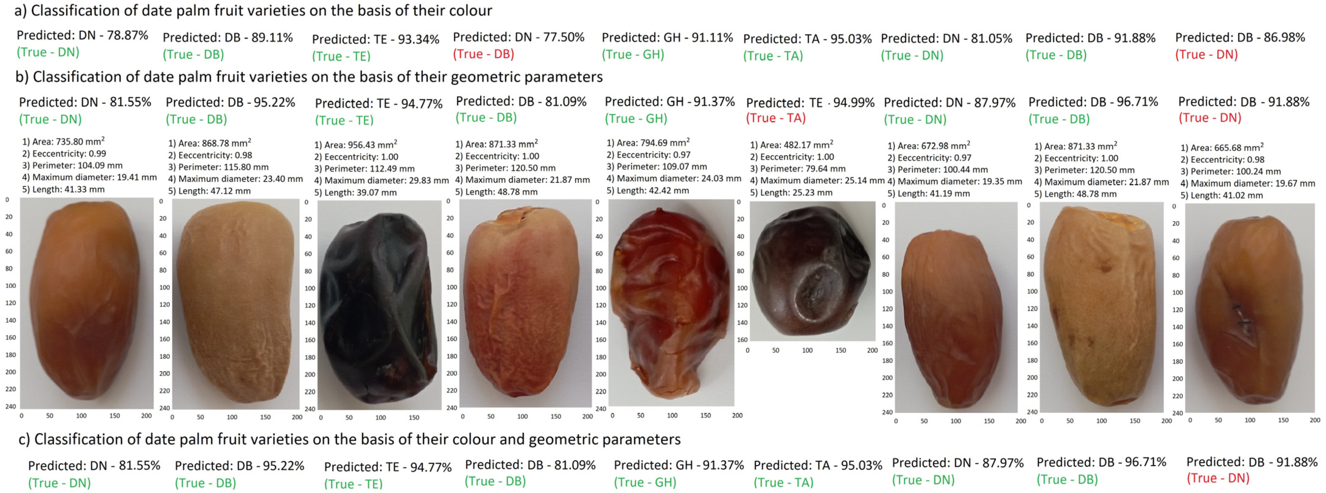 Sensors 24 00558 g009