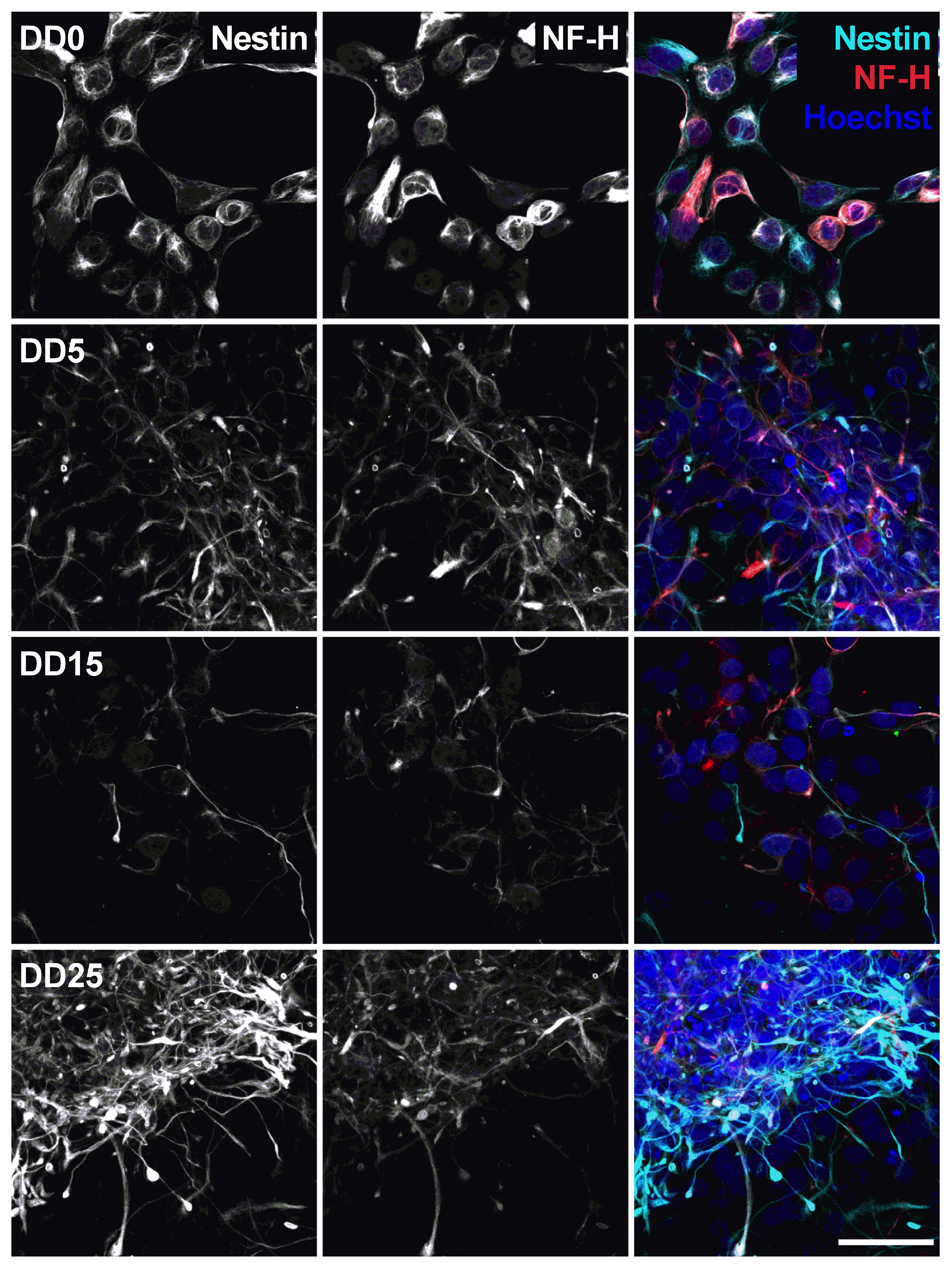 Sensors 24 00575 g007