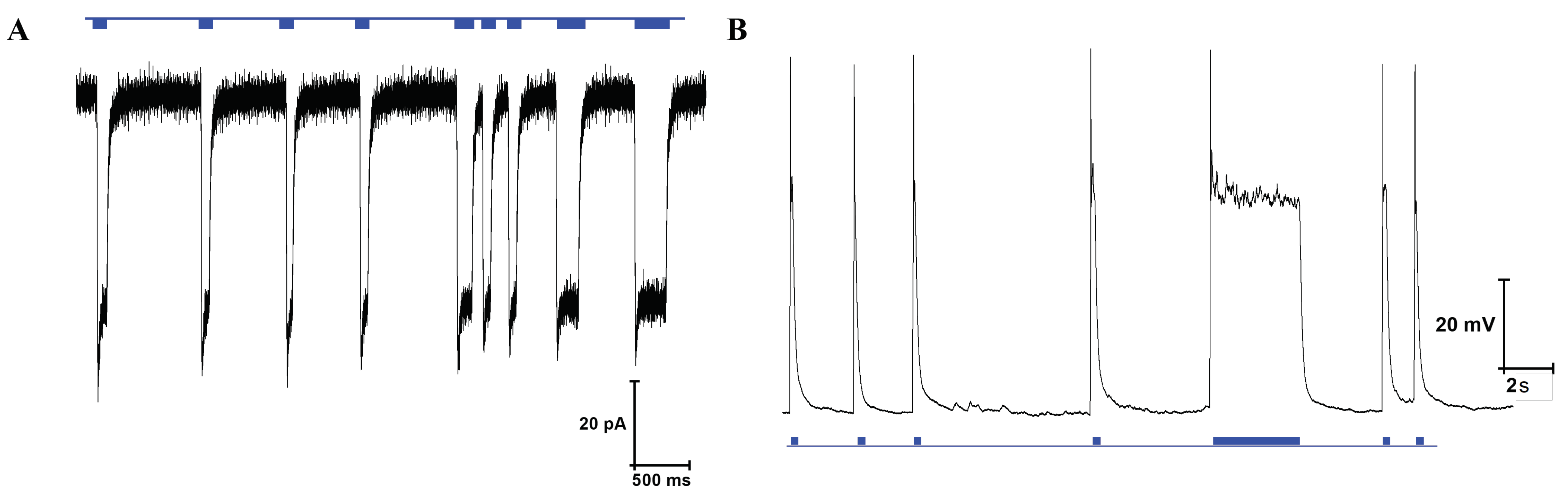 Sensors 24 00575 g0a16