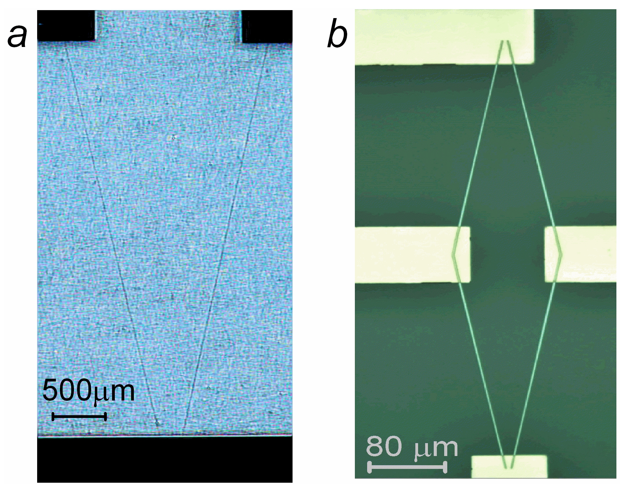 Sensors 24 00625 g001