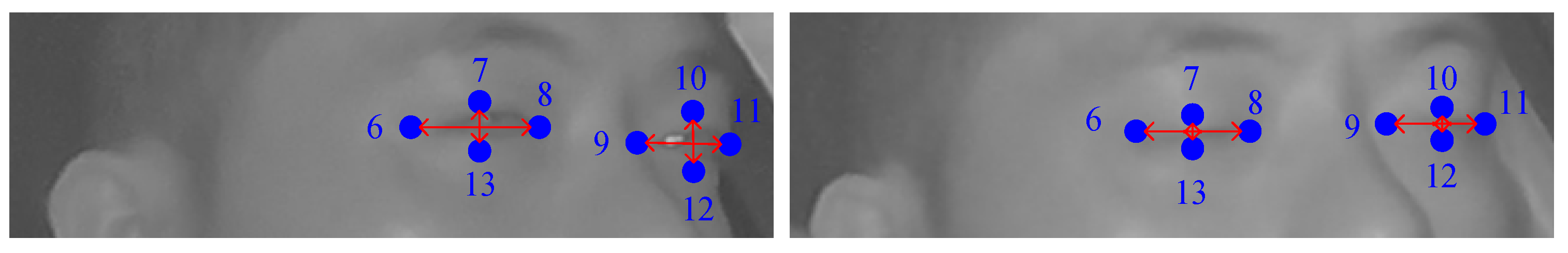 Sensors 24 00636 g002