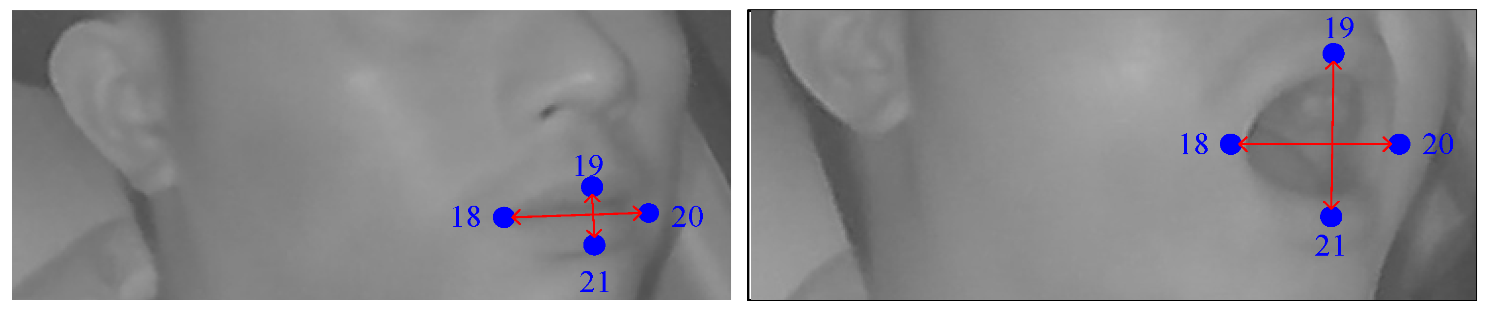 Sensors 24 00636 g003