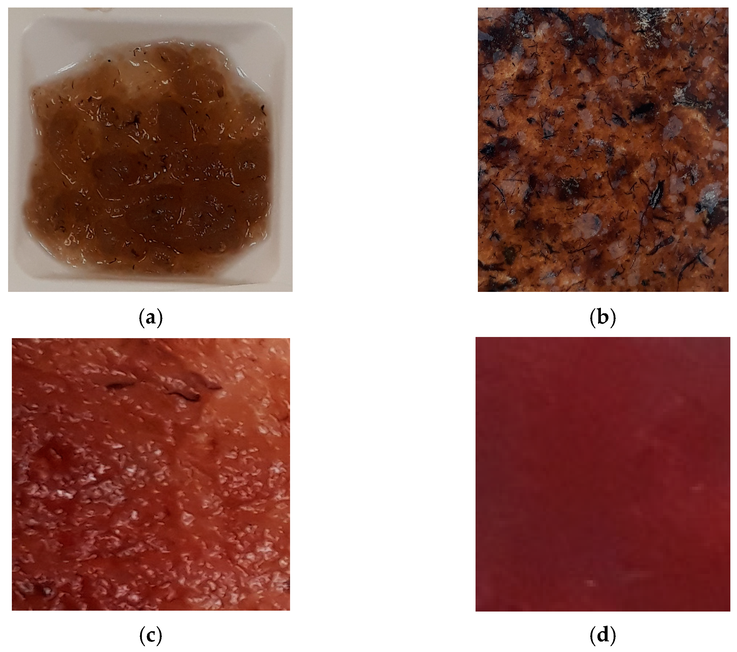 Sensors 24 00683 g003