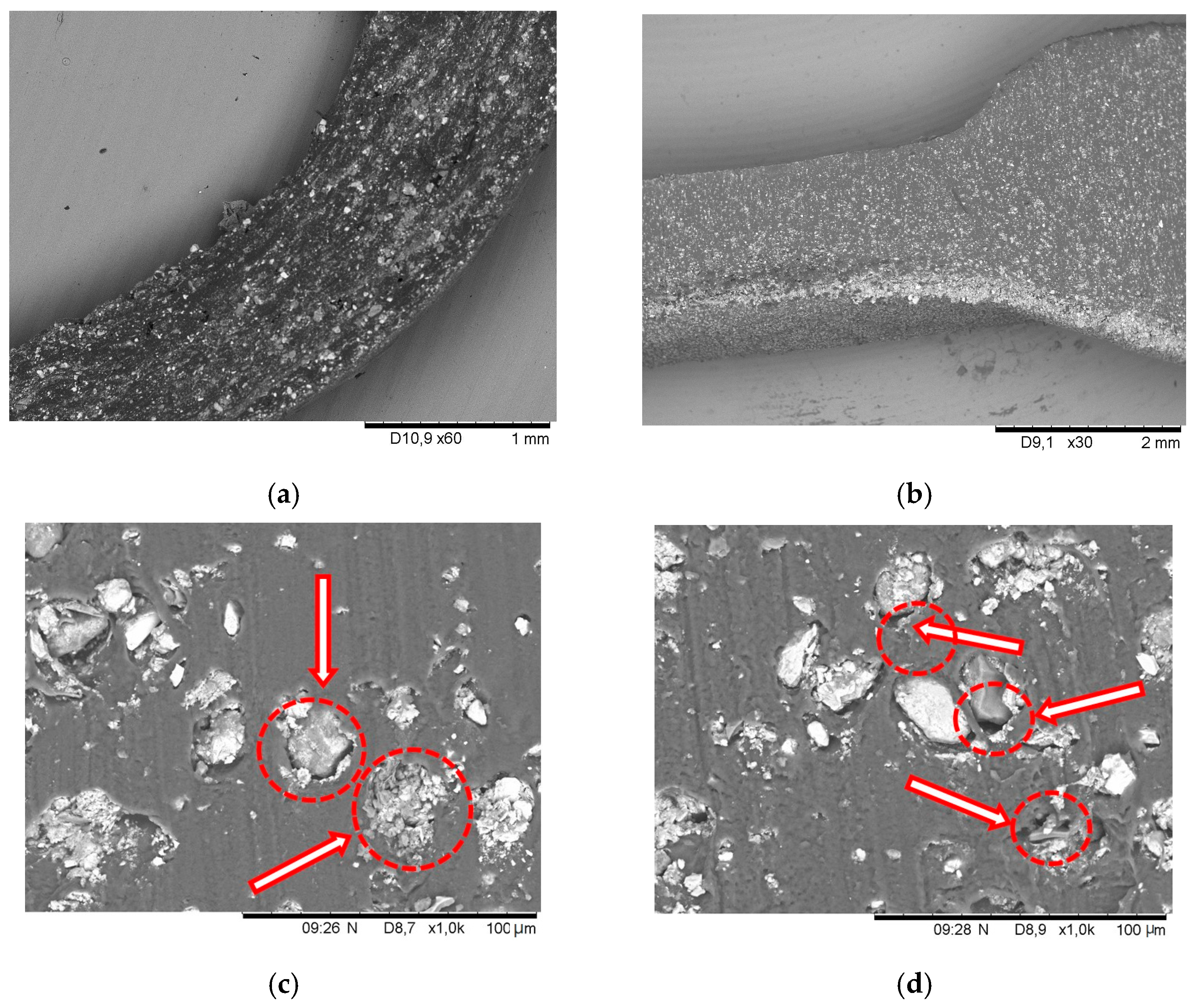 Sensors 24 00683 g004