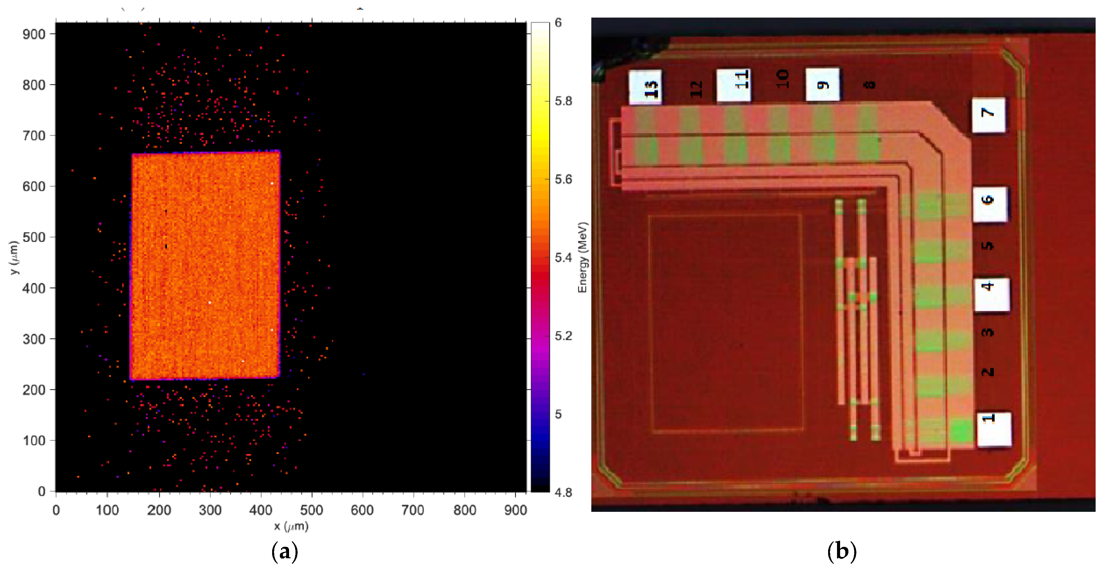 Sensors 24 00692 g008