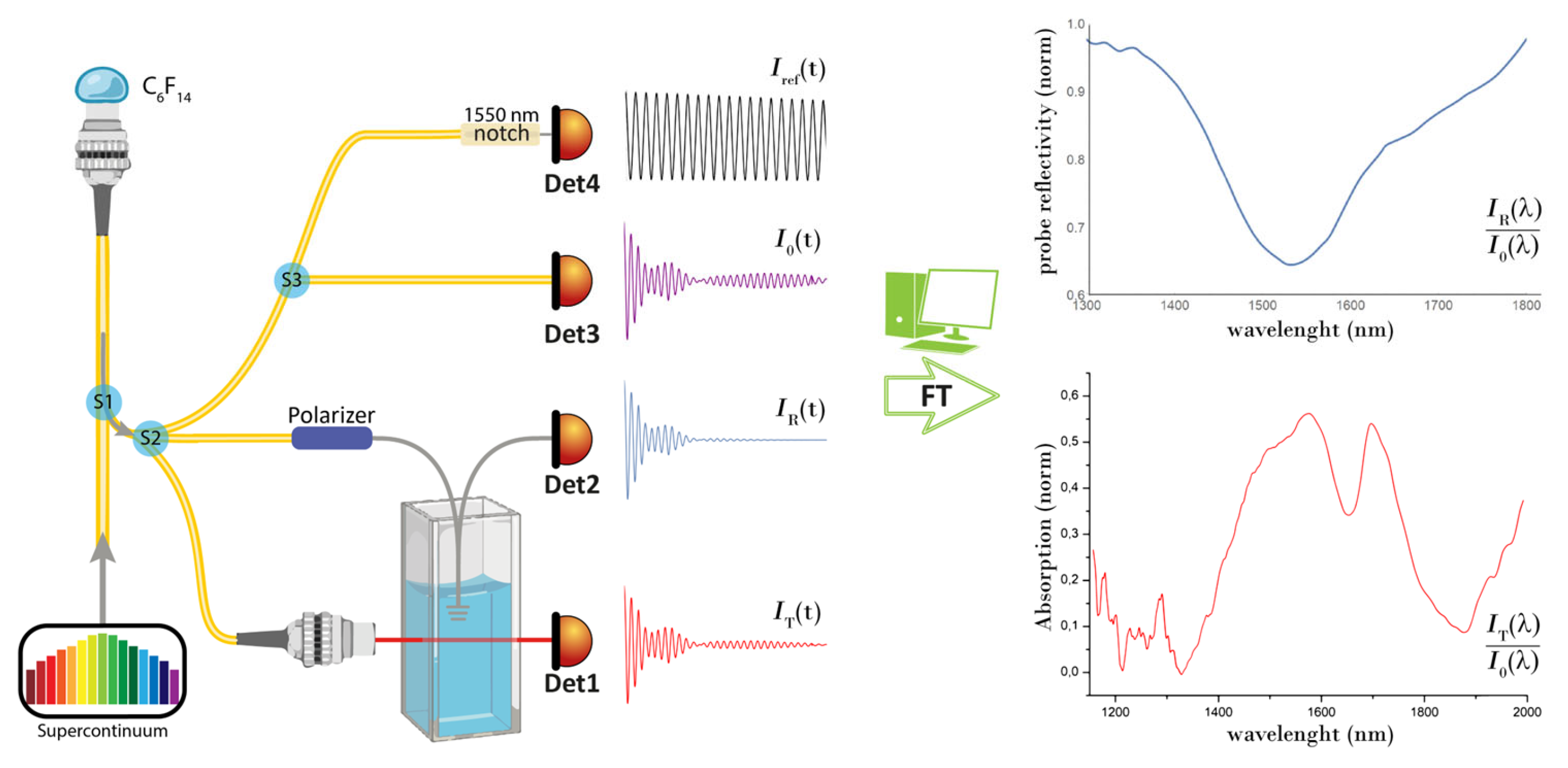 Sensors 24 00729 g001