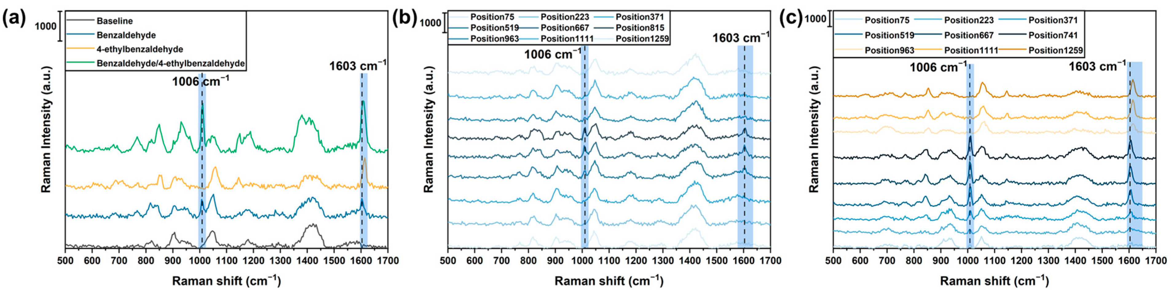 Sensors 24 00790 g002