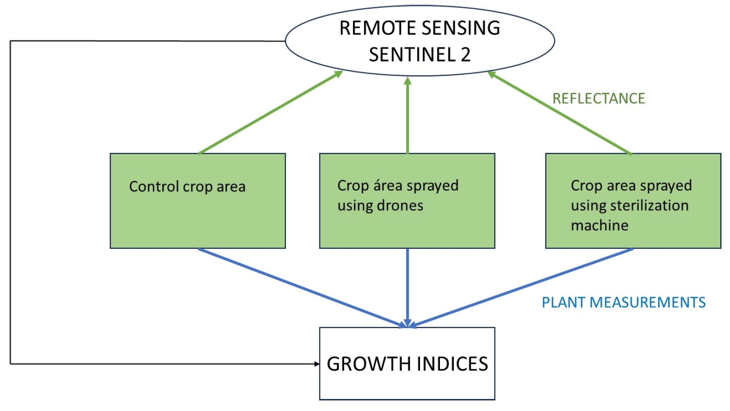 Sensors 24 00804 g001