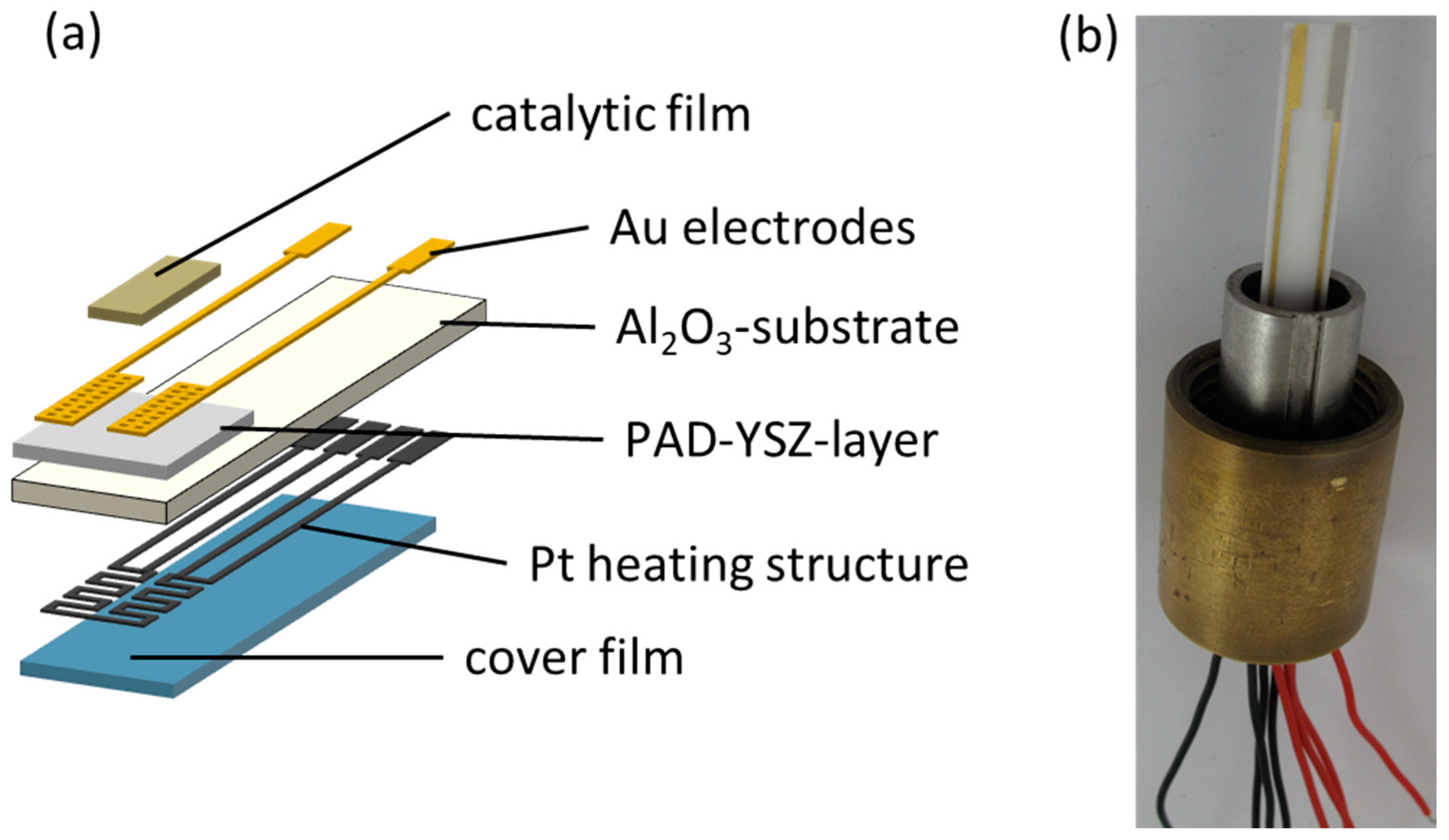 Sensors 24 00811 g001