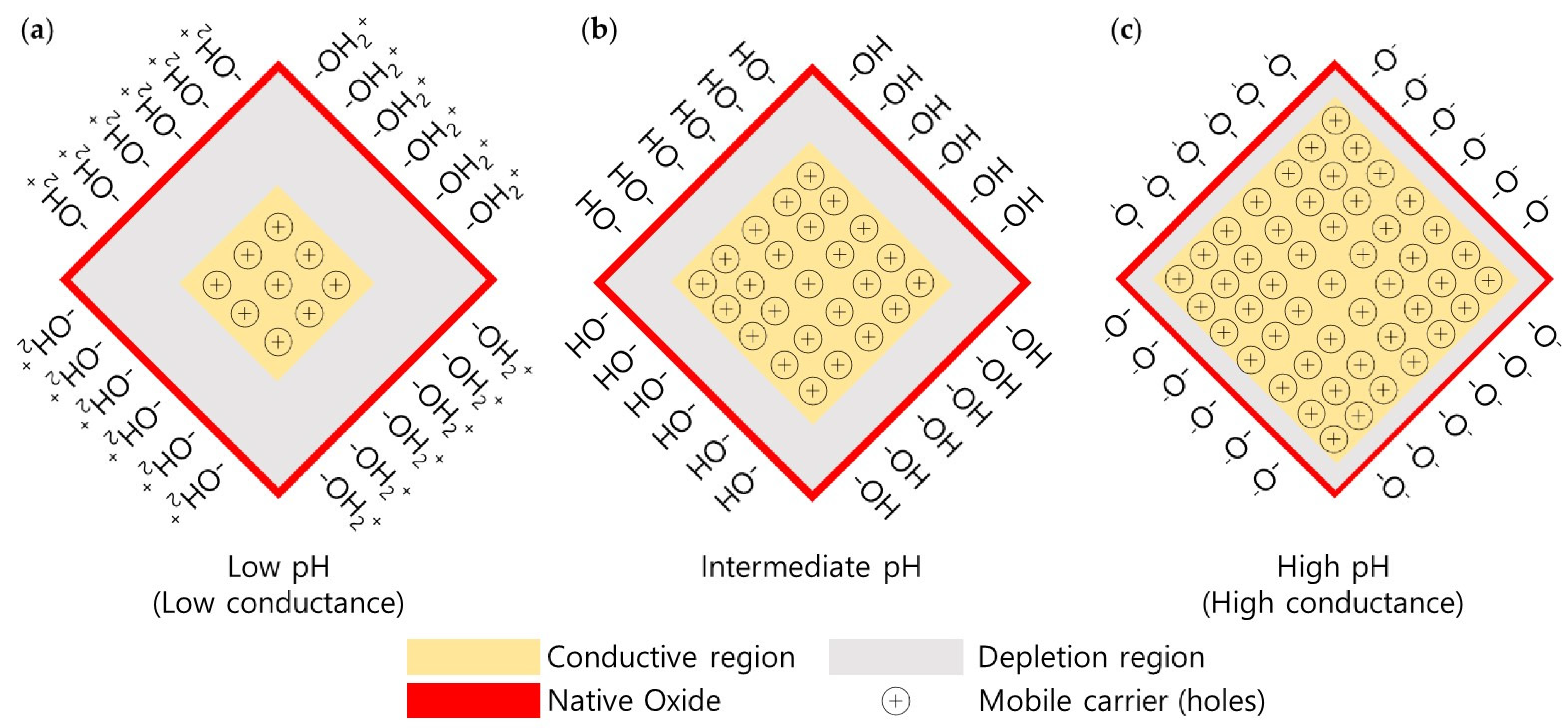 Sensors 24 00861 g005