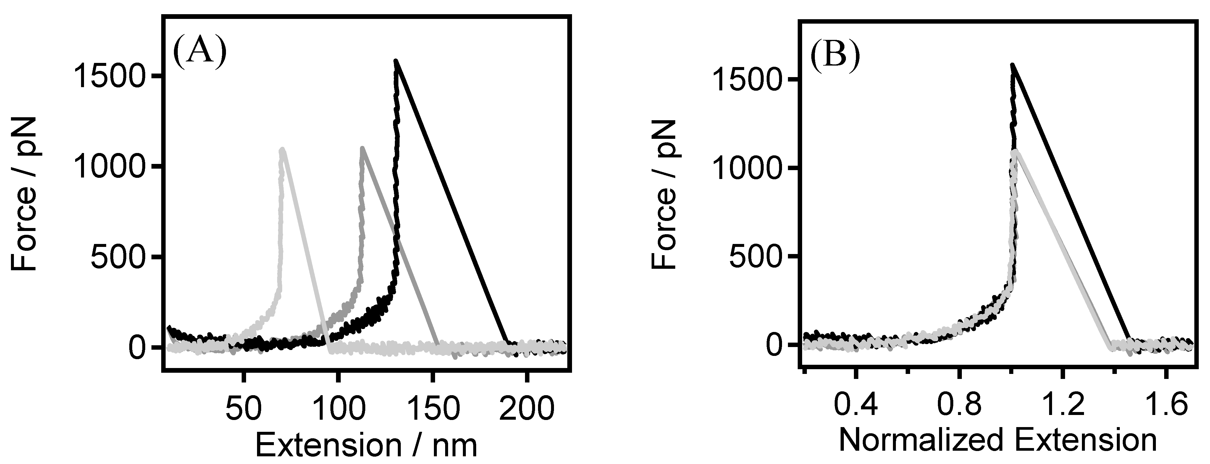 Sensors 24 00883 g001