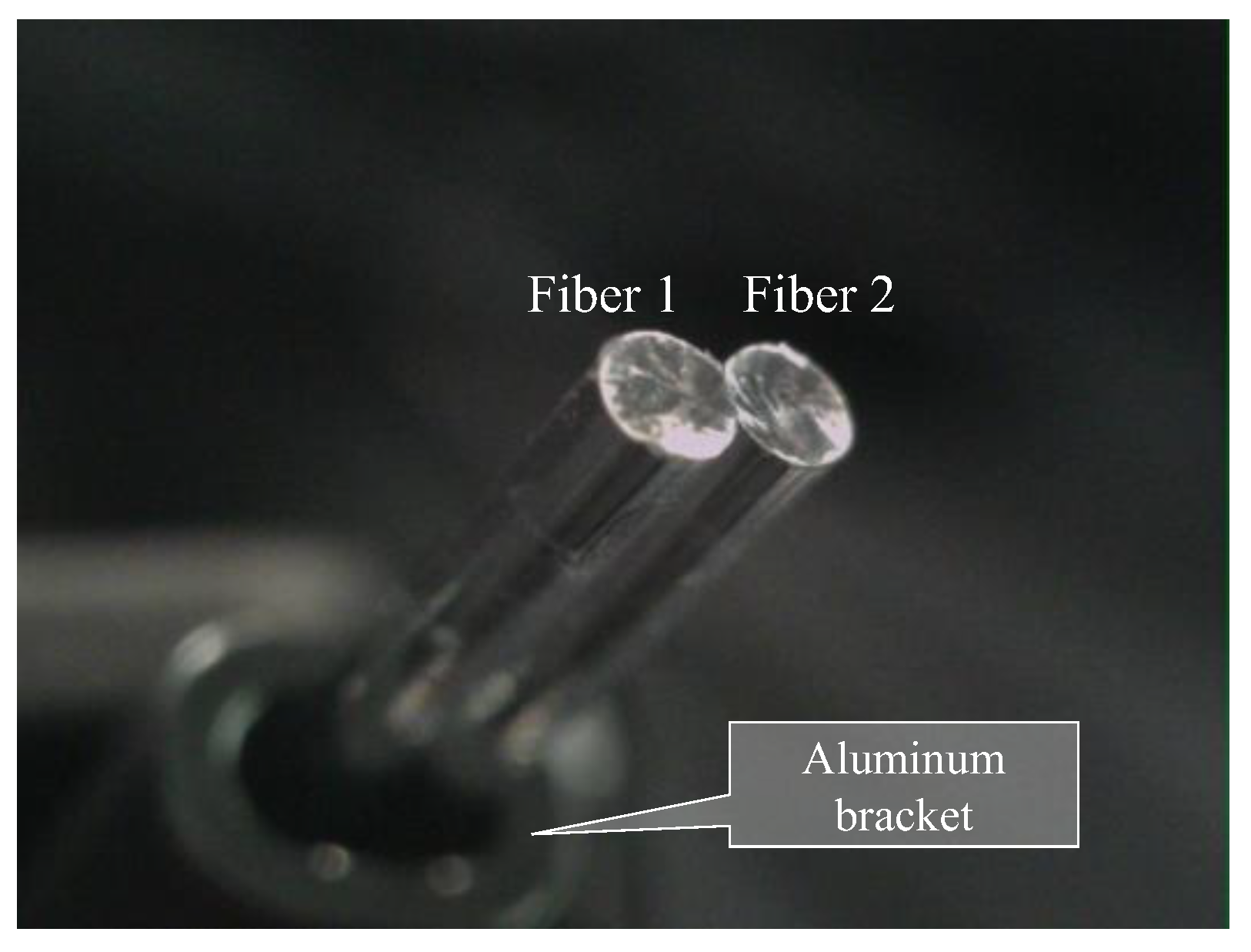 Sensors 24 00885 g004